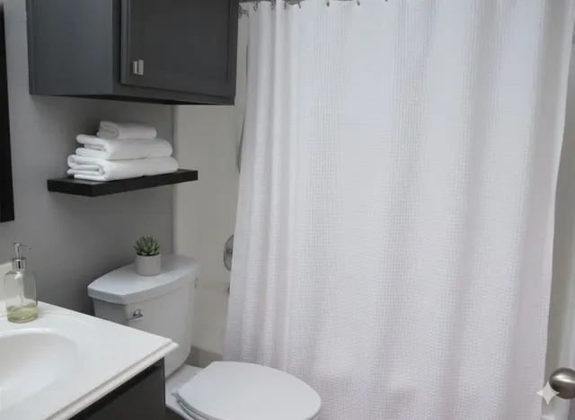 a bathroom with a sink a toilet and vanity