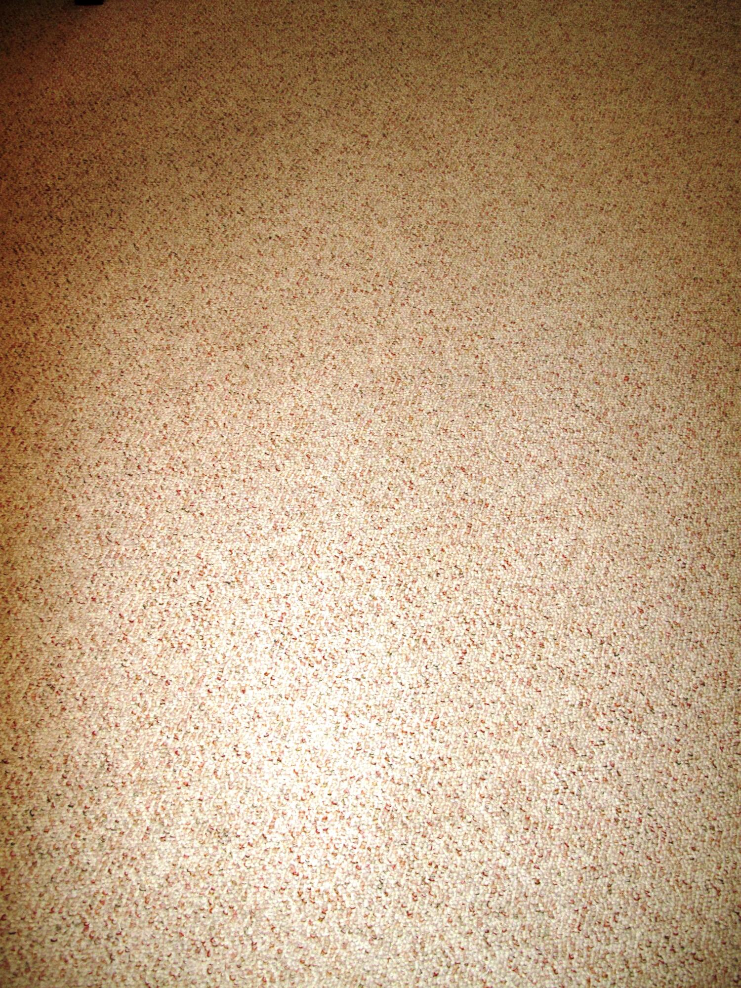 1202 South Drive Circle, Unit B Delray Beach, FL 33445 - Photo 25 of 57 Netural berber carpeting