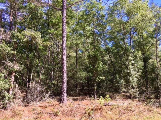 1-ac Peacock Road DeFuniak Springs, FL 32433 - Photo 2 of 6 Wooded Corner Lot