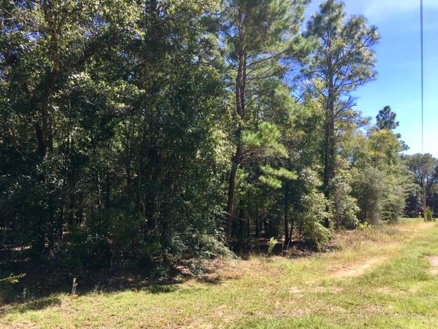 1-ac Peacock Road DeFuniak Springs, FL 32433 - Photo 3 of 6 One Acre level Lot!