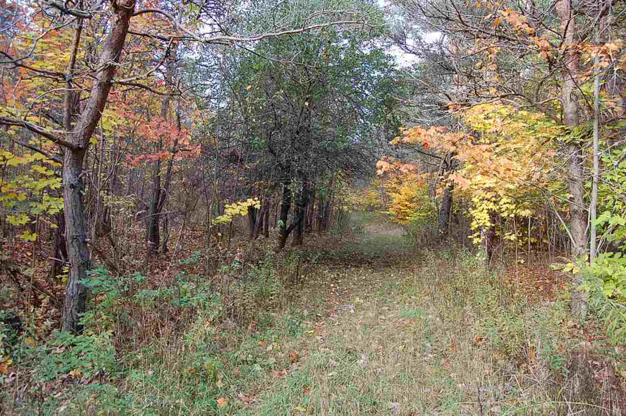 5582 North 37 Road Manton, MI 49663 - Photo 15 of 40 1824969-14.JPG