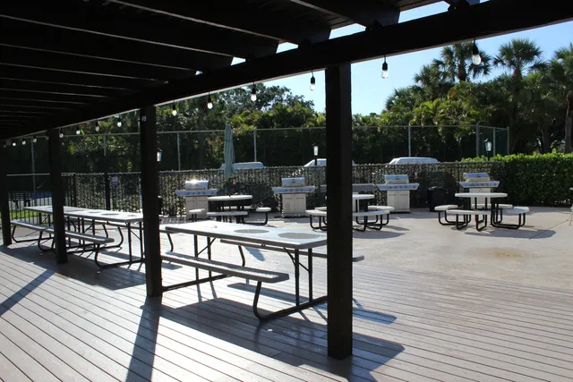 a view of a backyard