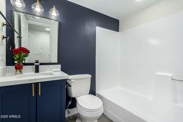 a bathroom with a sink a toilet a mirror and vanity