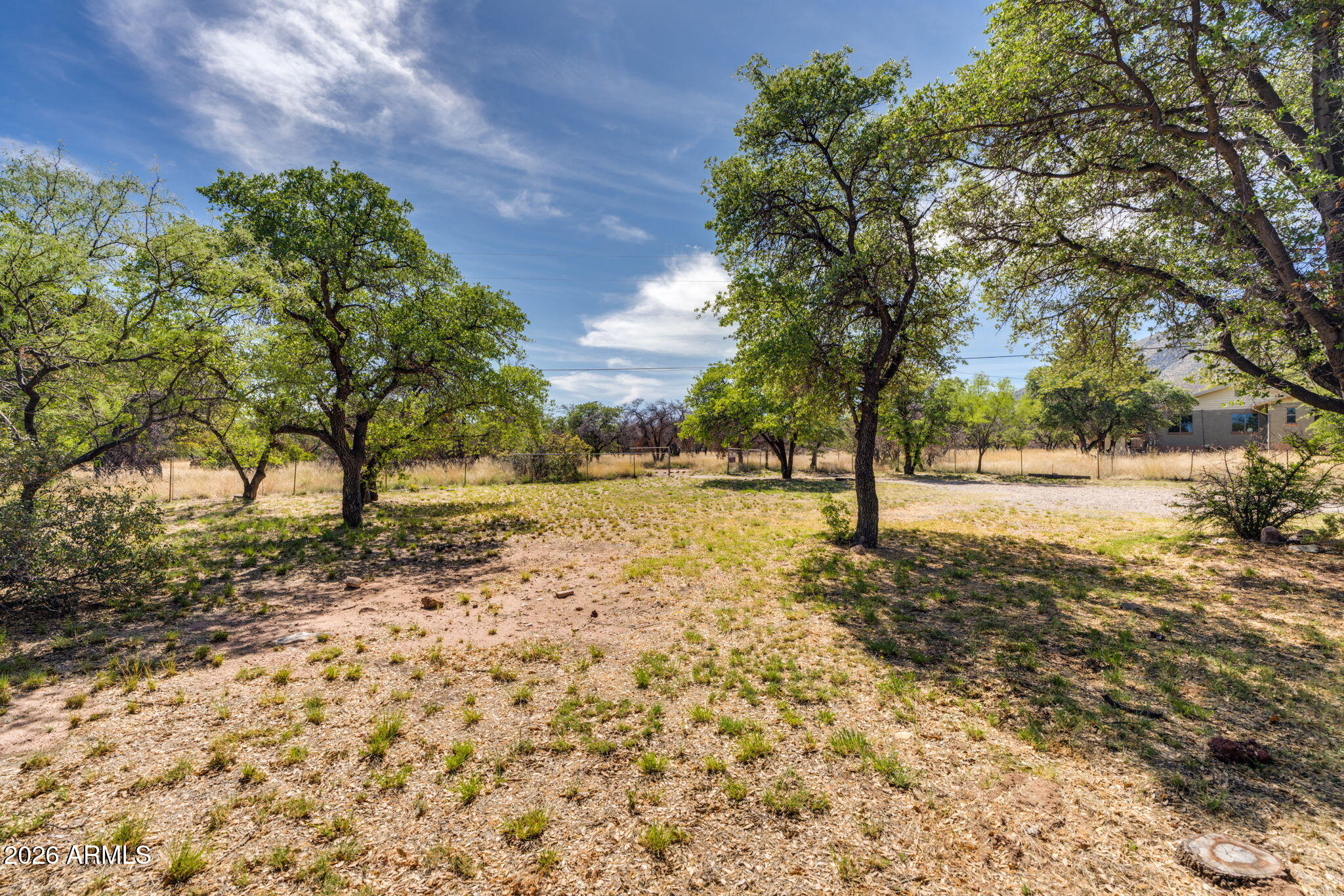 9626 South Turkey Track Road Hereford, AZ 85615 - Photo 11 of 54 a view of yard with trees