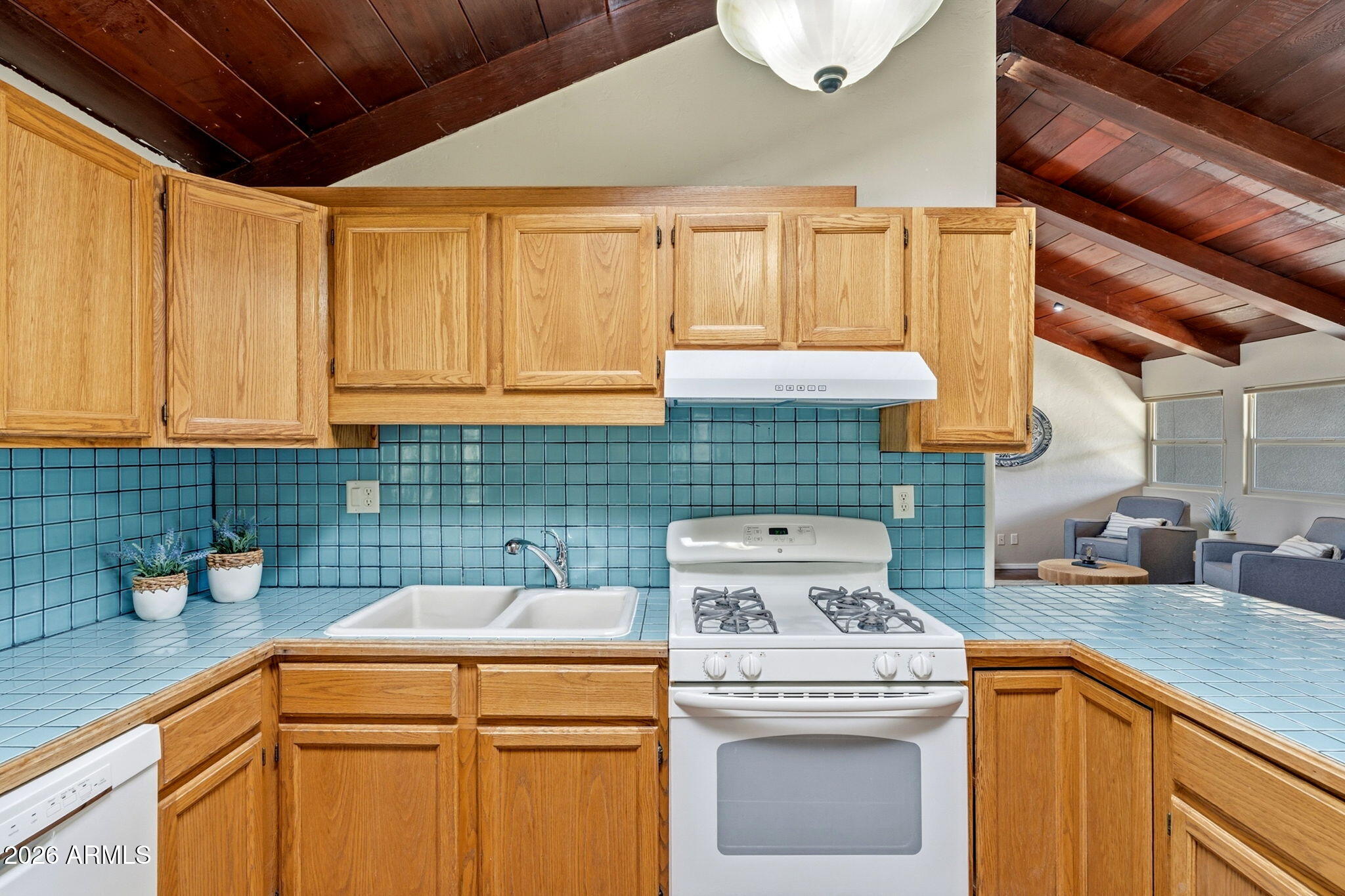 9626 South Turkey Track Road Hereford, AZ 85615 - Photo 22 of 54 Kitchen
