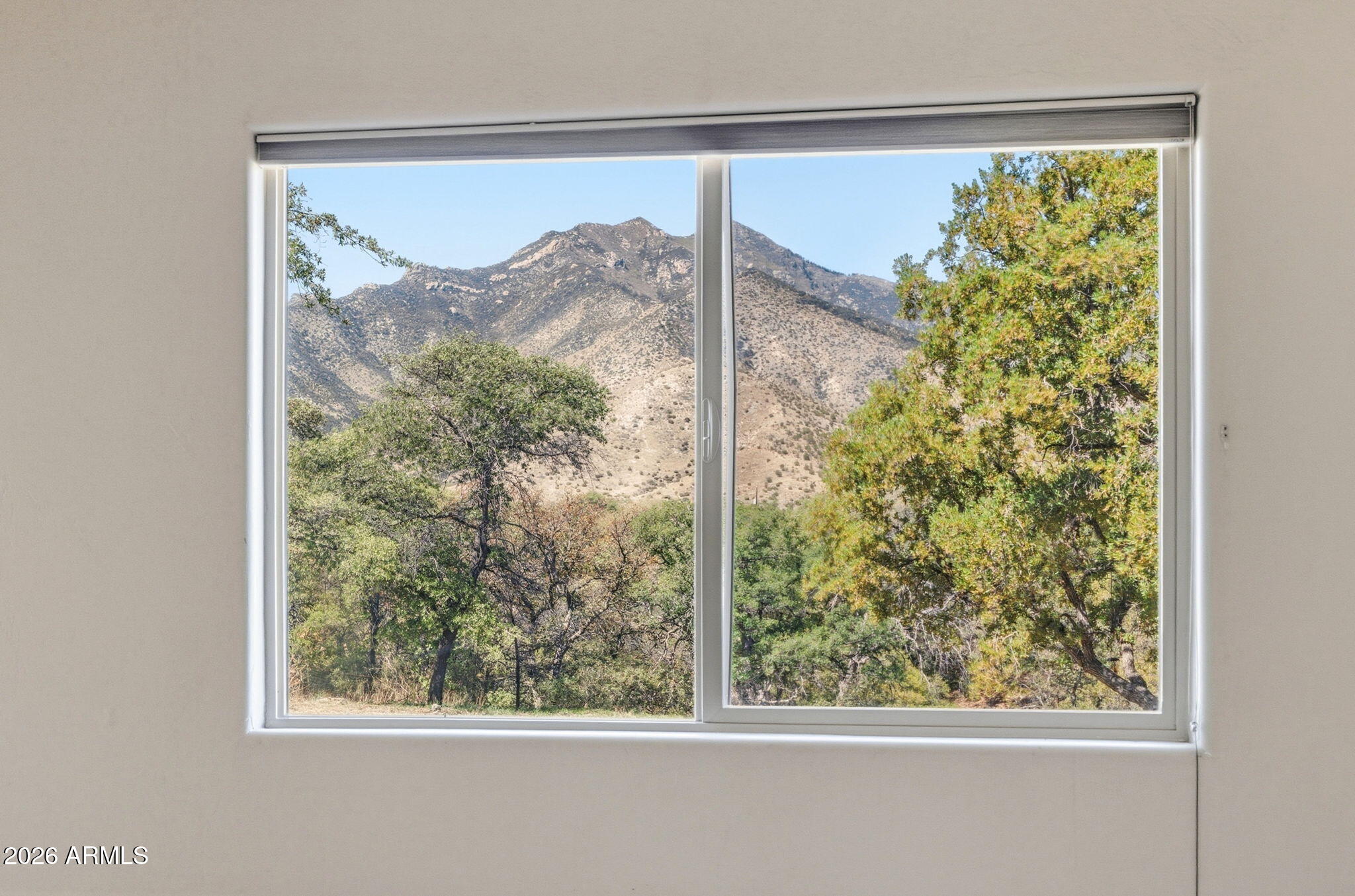 9626 South Turkey Track Road Hereford, AZ 85615 - Photo 24 of 54 Primary Bedroom Views