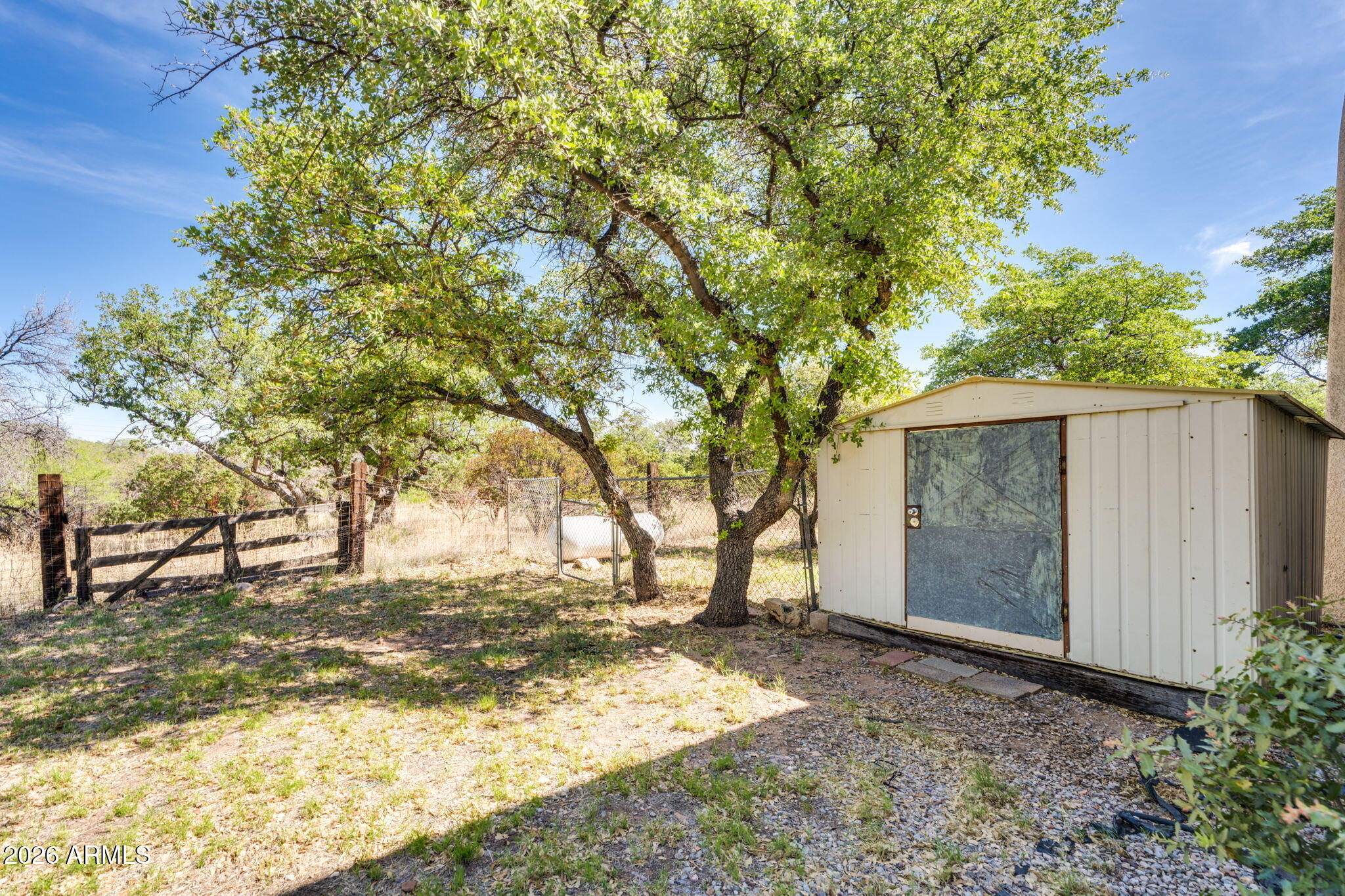 9626 South Turkey Track Road Hereford, AZ 85615 - Photo 39 of 54 a view of a yard with a tree