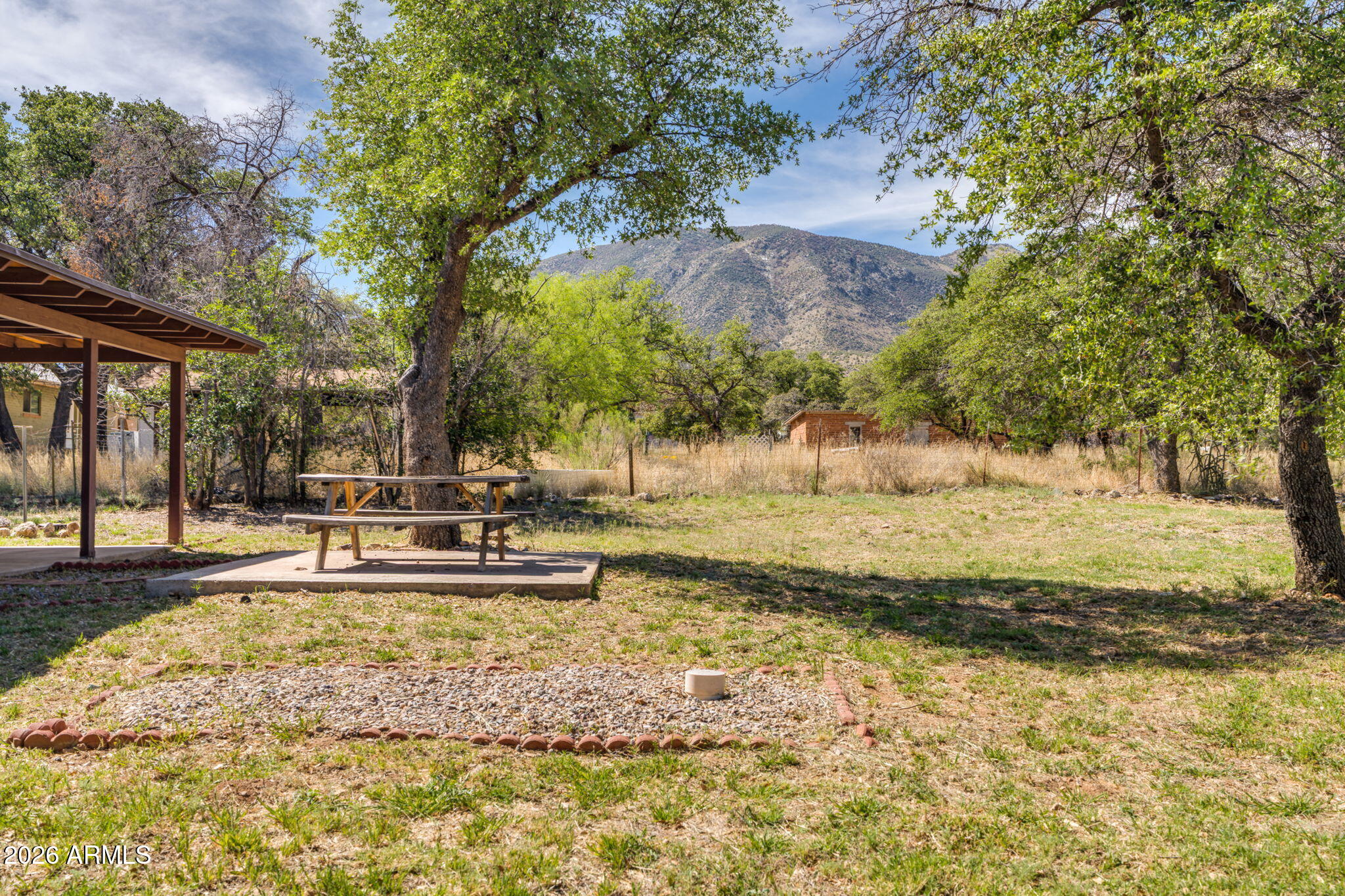 9626 South Turkey Track Road Hereford, AZ 85615 - Photo 6 of 54 Backyard Views