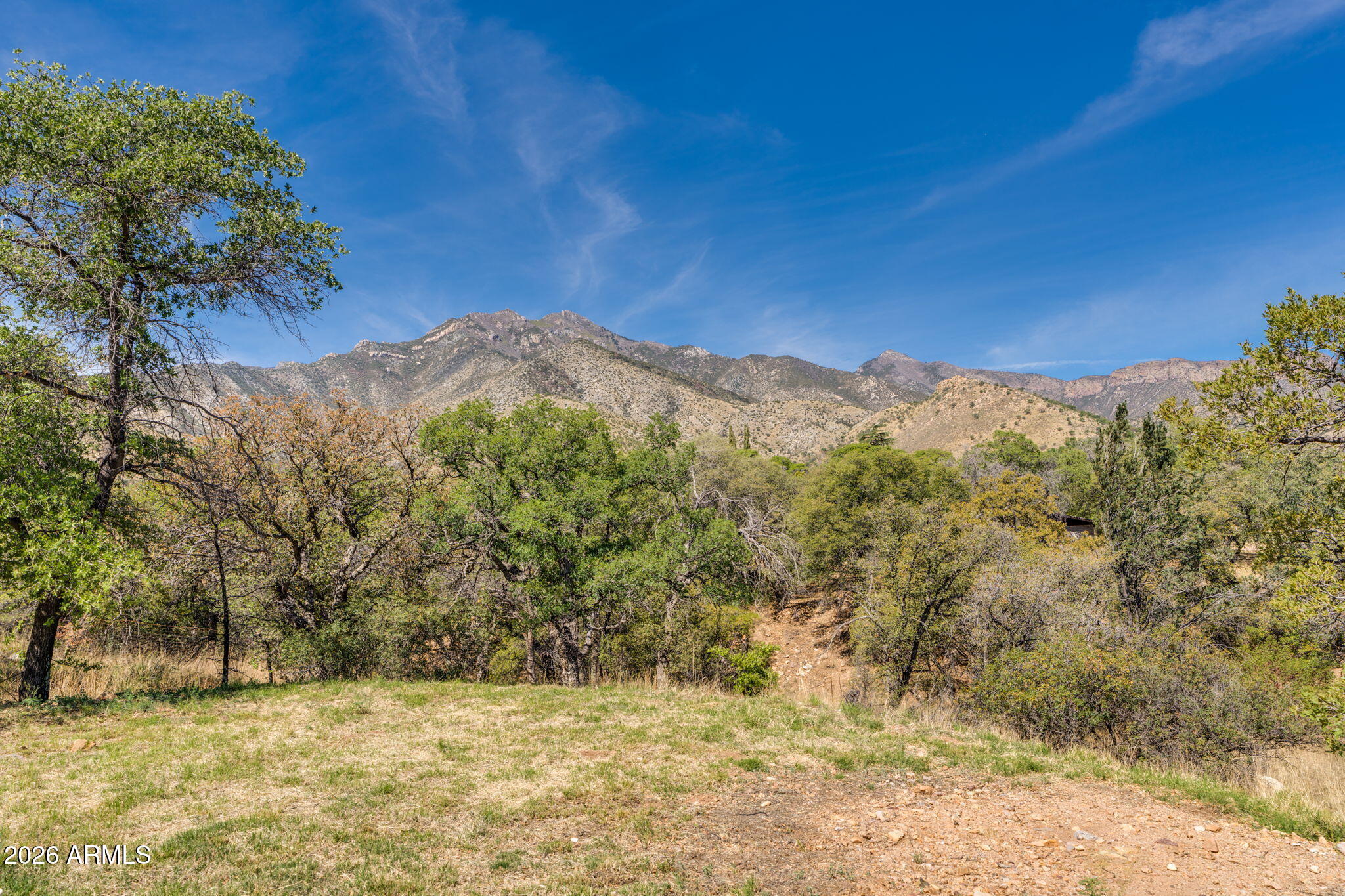9626 South Turkey Track Road Hereford, AZ 85615 - Photo 7 of 54 Backyard Views