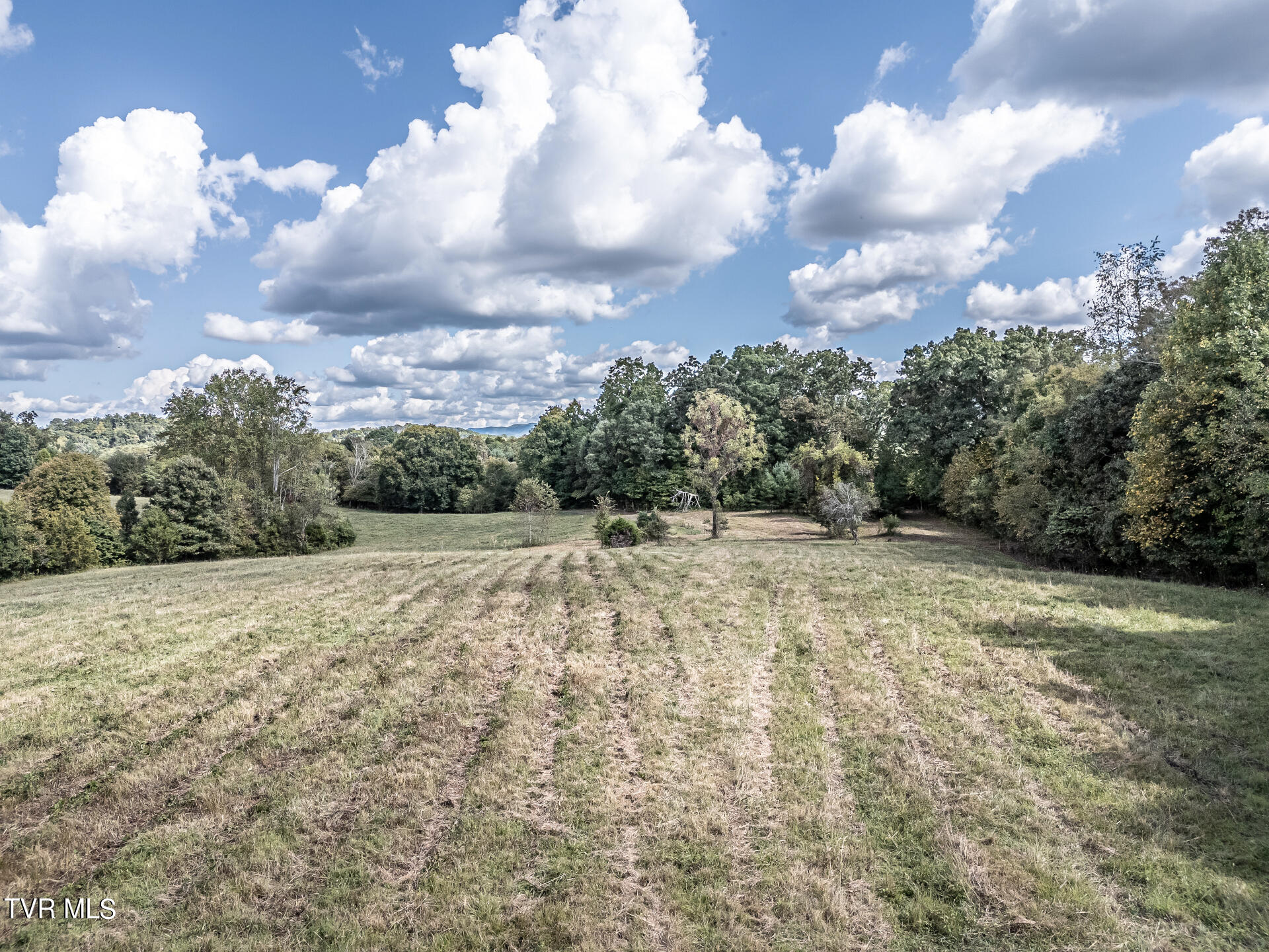 825 Middle Creek Road Afton, TN 37616 - Photo 3 of 37 MiddleCreekA_001