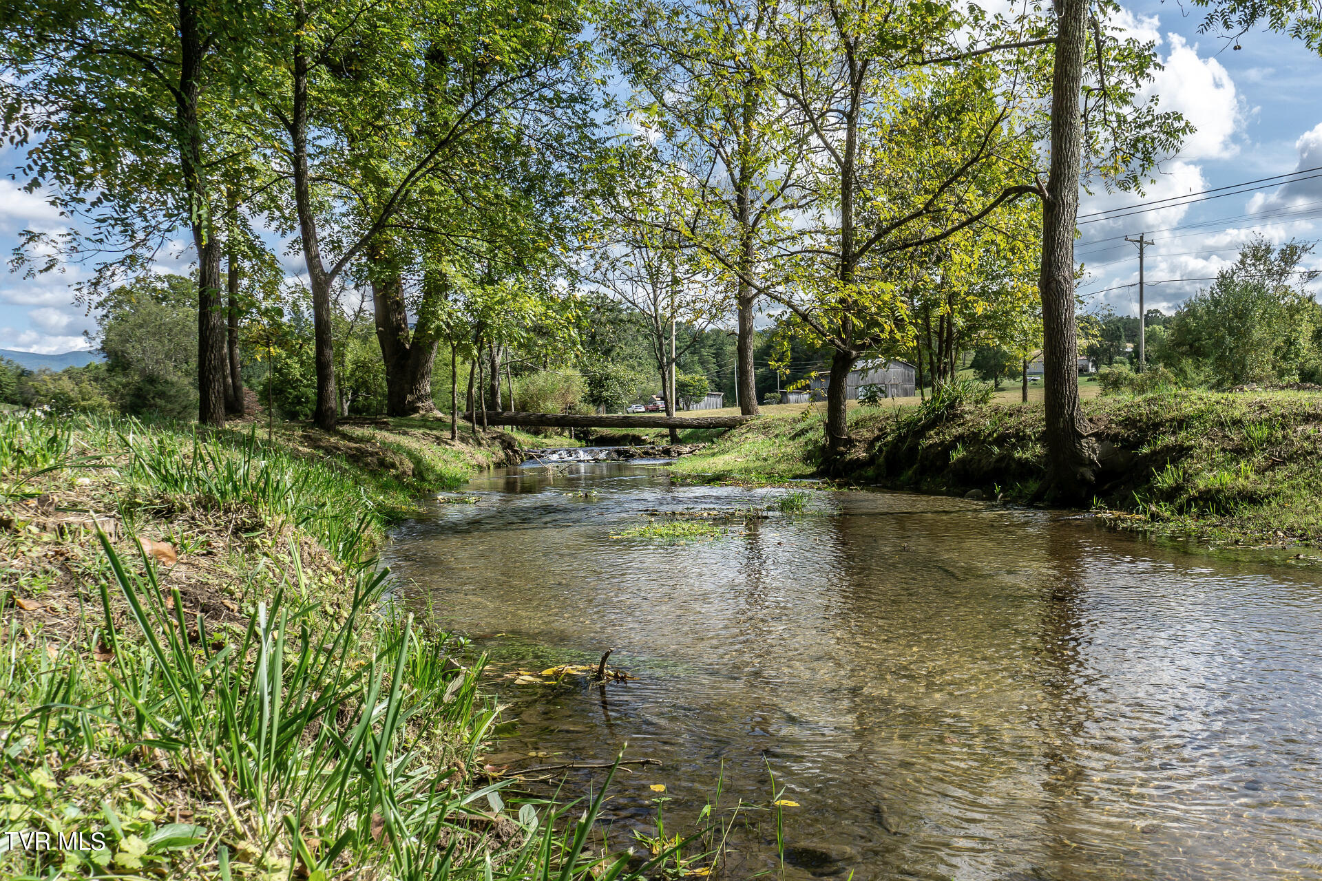 825 Middle Creek Road Afton, TN 37616 - Photo 6 of 37 MiddleCreekA_018