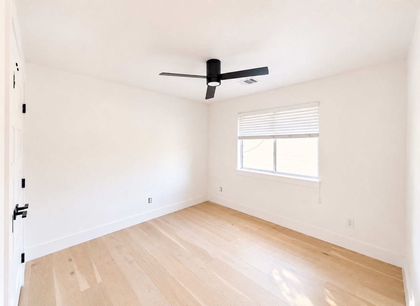 1610 Juniper Ridge Loop Cedar Park, TX 78613 - Photo 24 of 28 Gleaming hardwood floors and a wide window create a serene and inviting atmosphere.