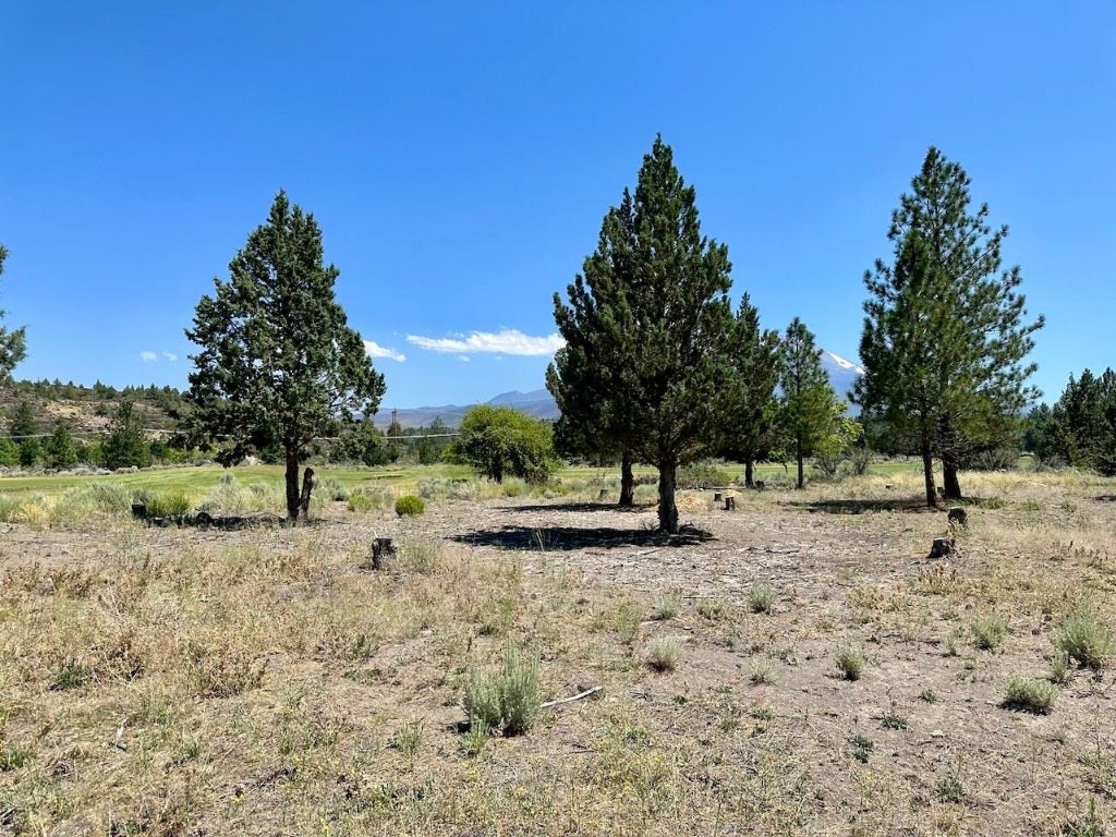 Lot 259 Lot Road Weed, CA 96094 - Photo 10 of 12 Gallery Image 10