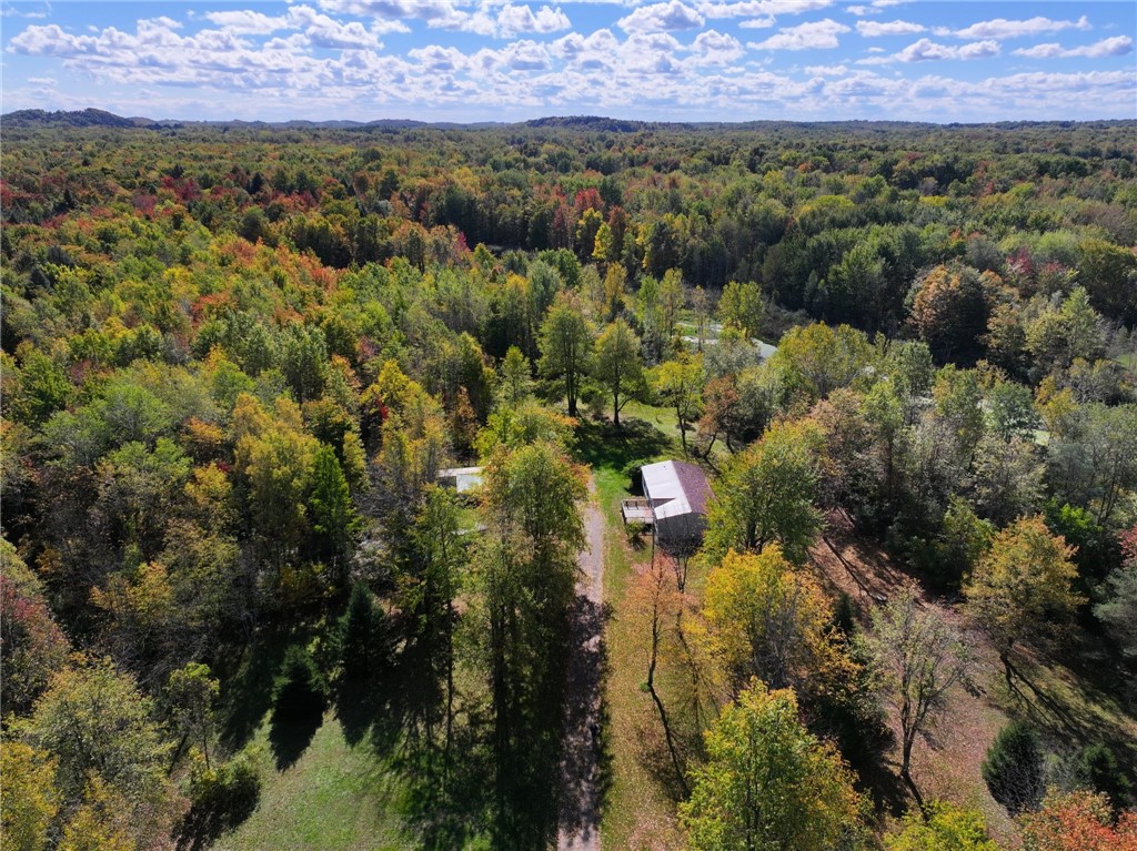 13562 Jenkins Road Red Creek, NY 13143 - Photo 2 of 22