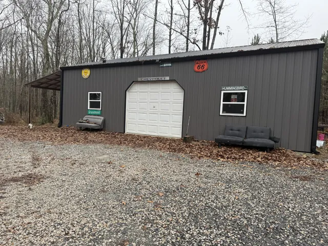 a view of a yard with plants and large trees