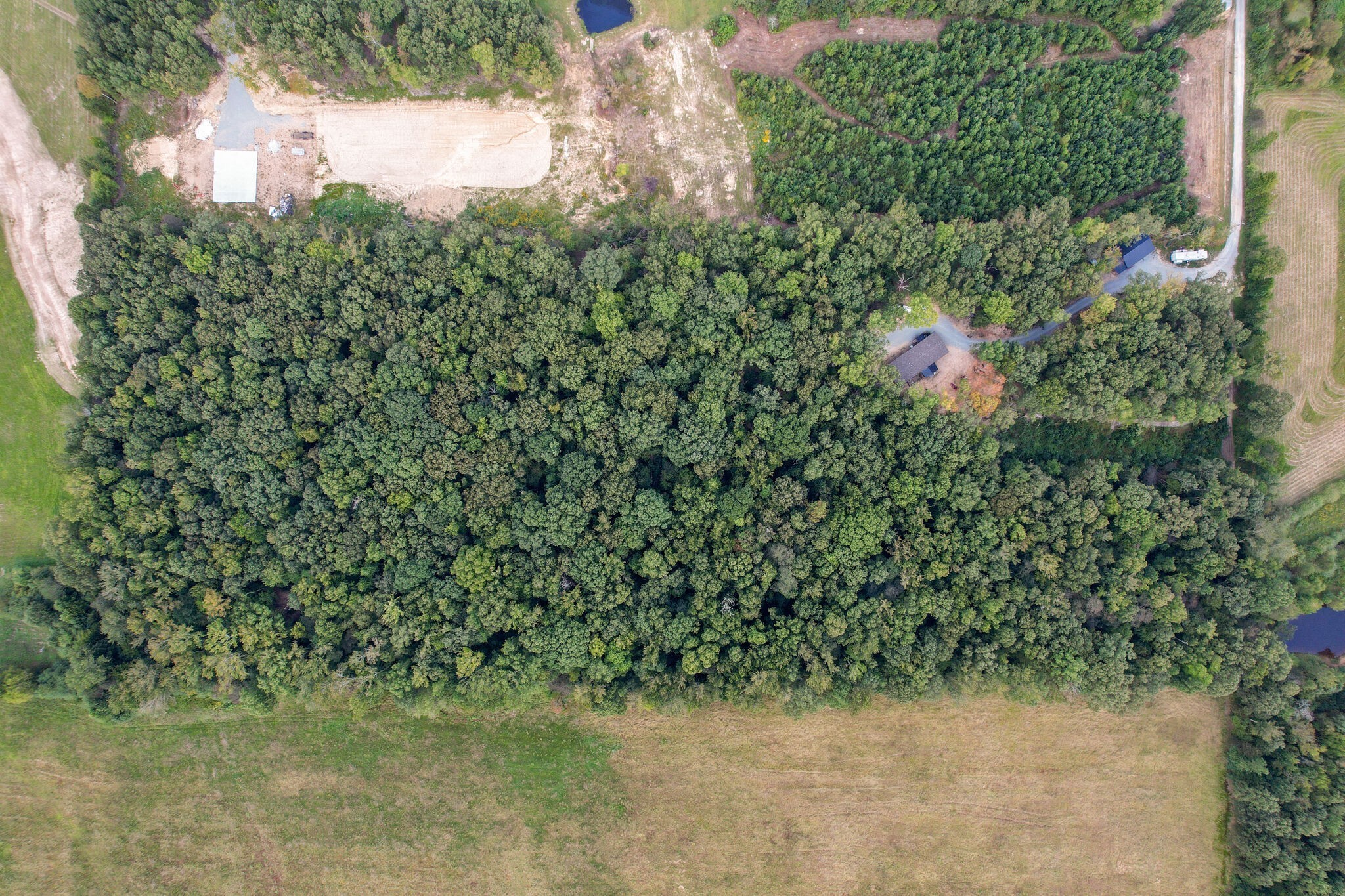 239 Henderson Road Hohenwald, TN 38462 - Photo 37 of 61 a view of a wooden house with a yard