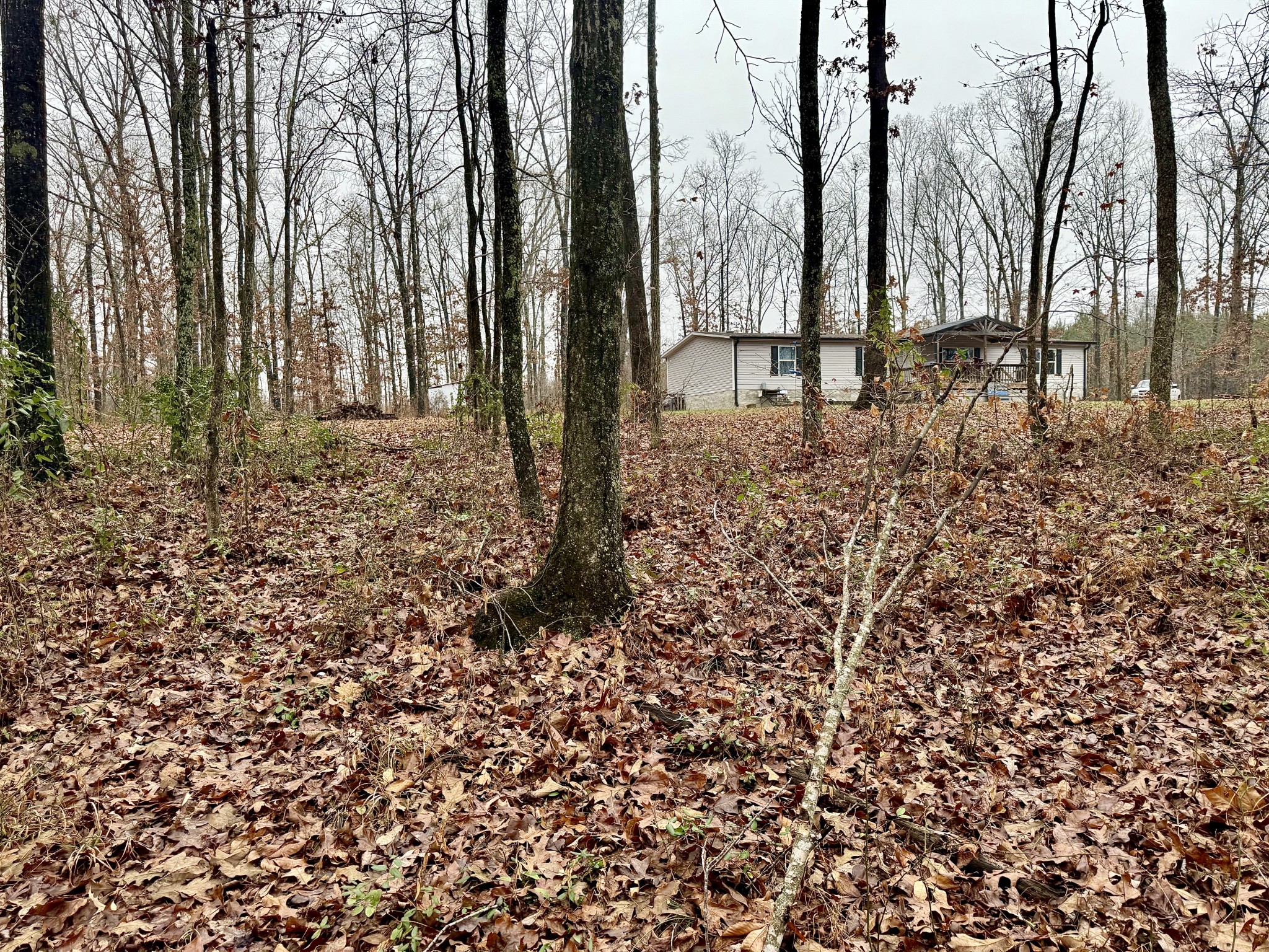 239 Henderson Road Hohenwald, TN 38462 - Photo 38 of 61 a backyard of a house with lots of green space