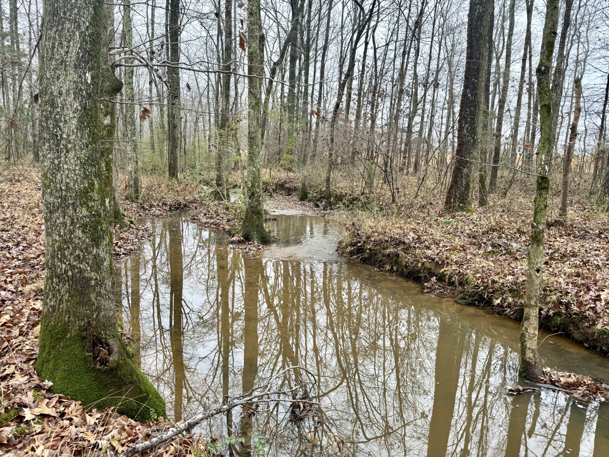 239 Henderson Road Hohenwald, TN 38462 - Photo 40 of 61