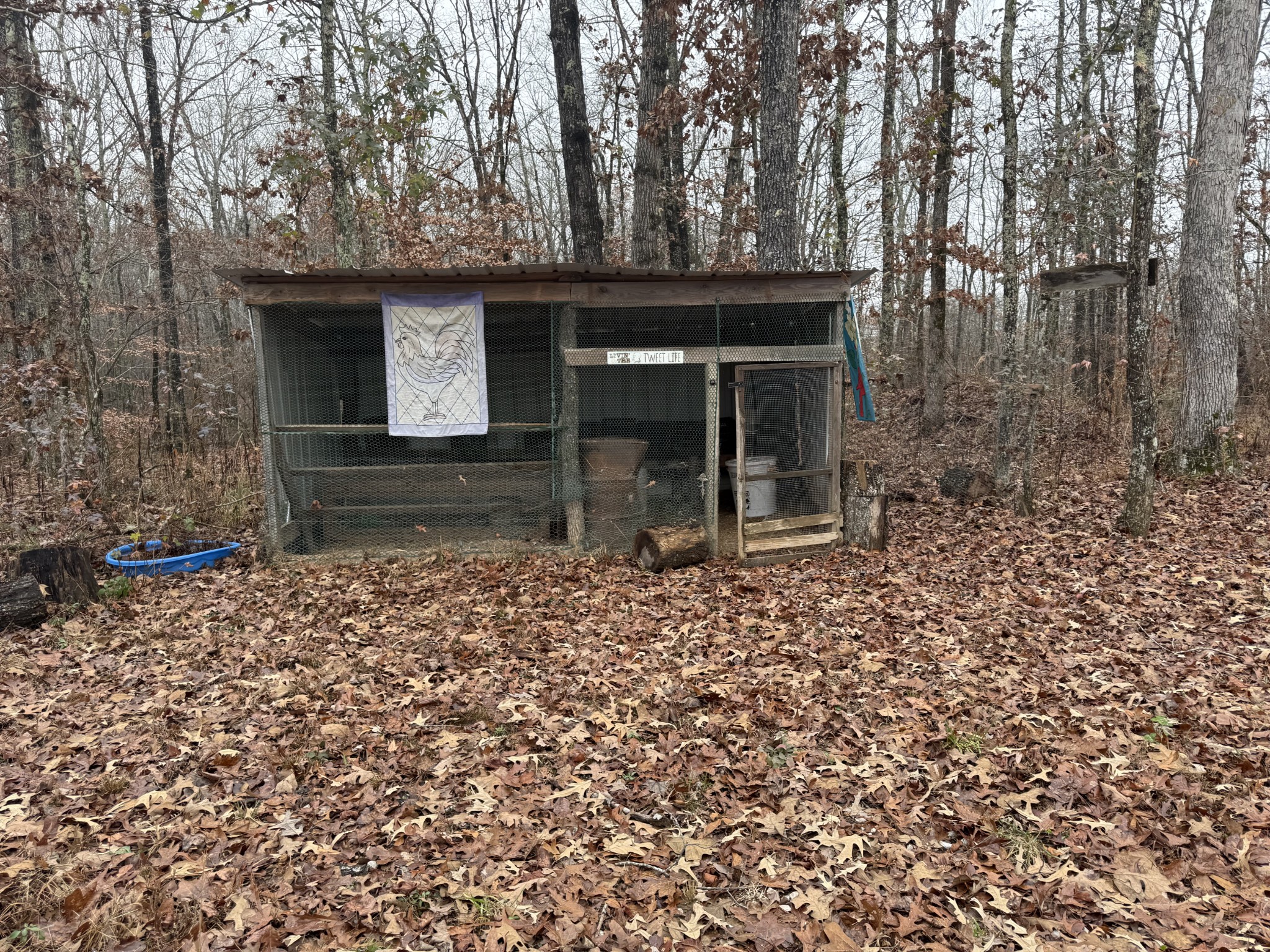 239 Henderson Road Hohenwald, TN 38462 - Photo 44 of 61 a front view of a house with a garden
