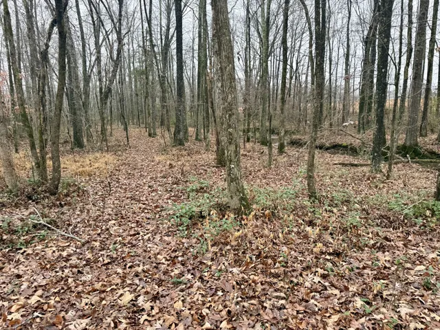 a view of outdoor space with trees