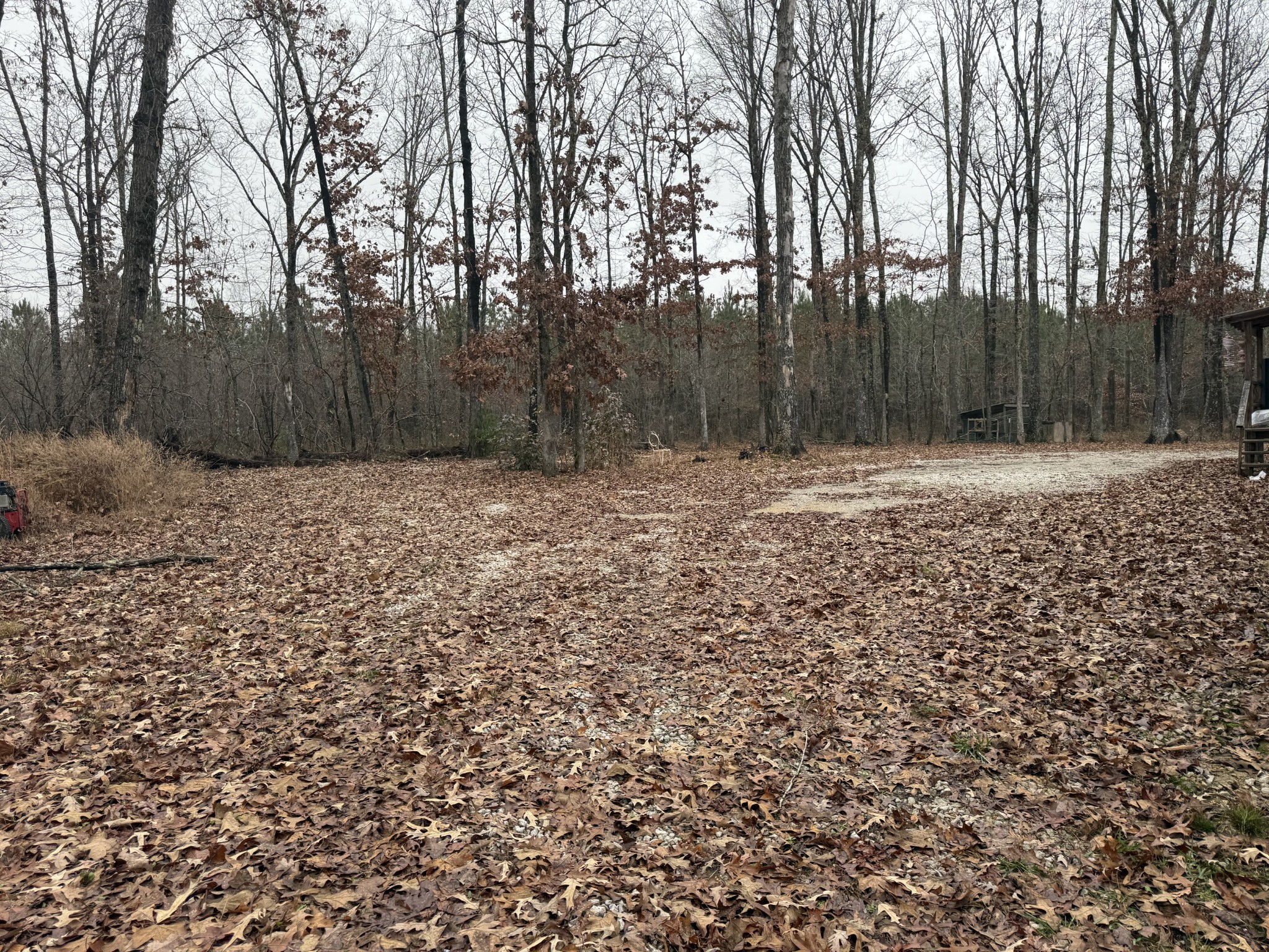 239 Henderson Road Hohenwald, TN 38462 - Photo 48 of 61 a view of a yard with trees