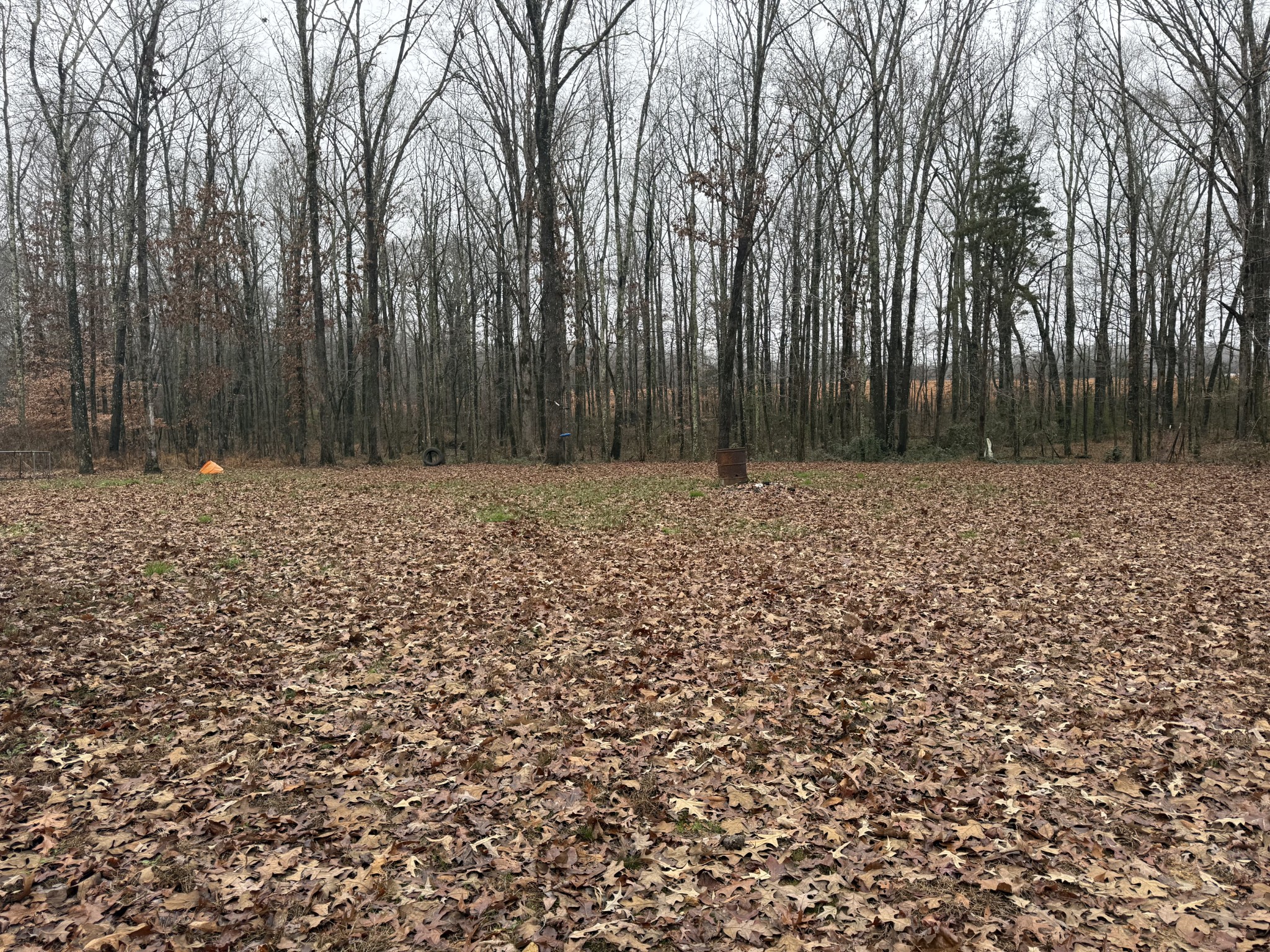 239 Henderson Road Hohenwald, TN 38462 - Photo 49 of 61