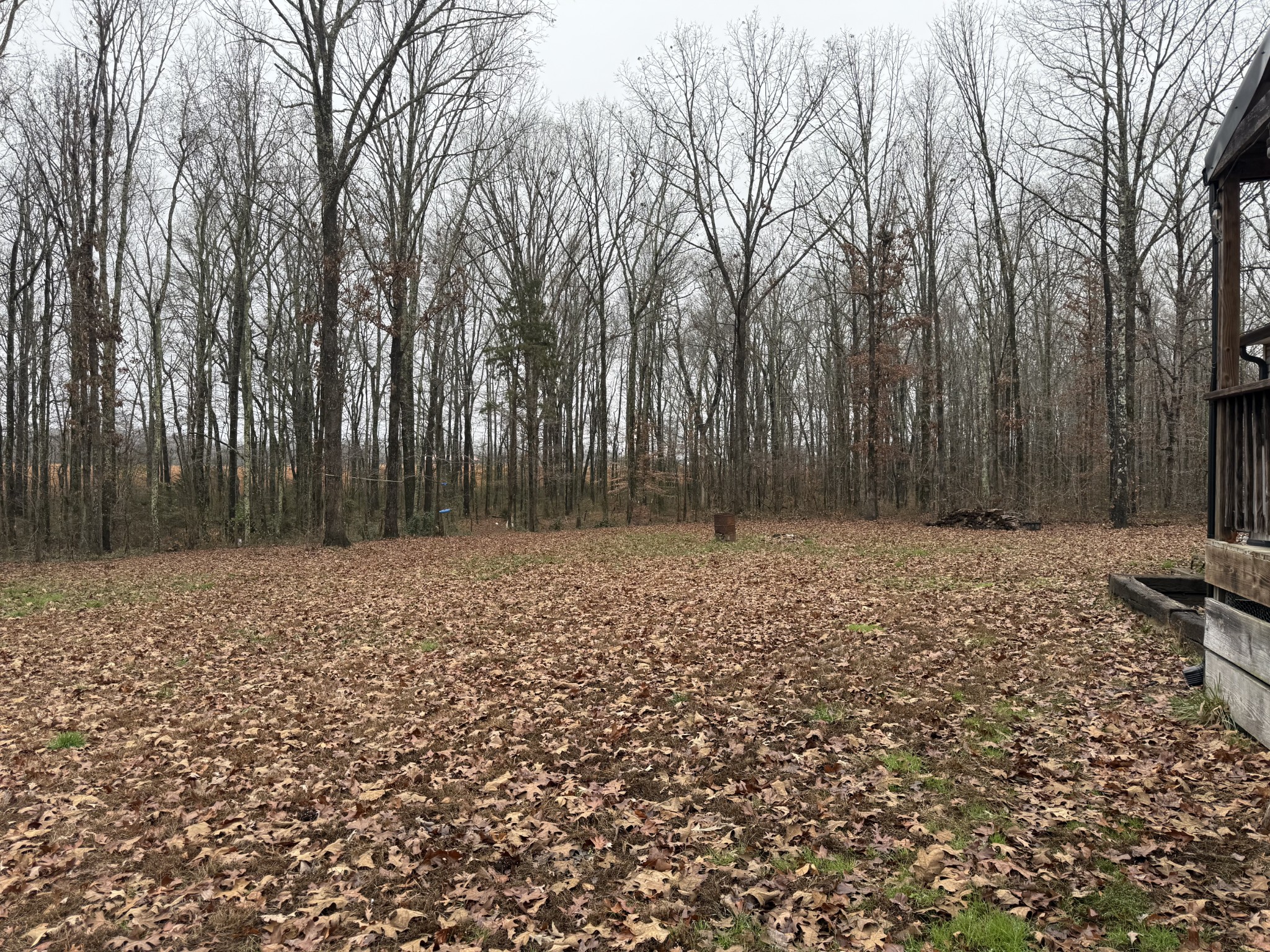 239 Henderson Road Hohenwald, TN 38462 - Photo 51 of 61 a row of trees with wooden fence