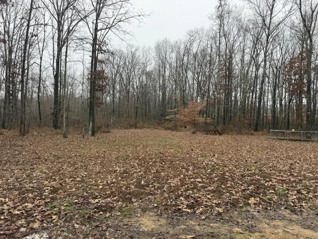 $365,000 | 239 Henderson Road, Hohenwald, TN 38462