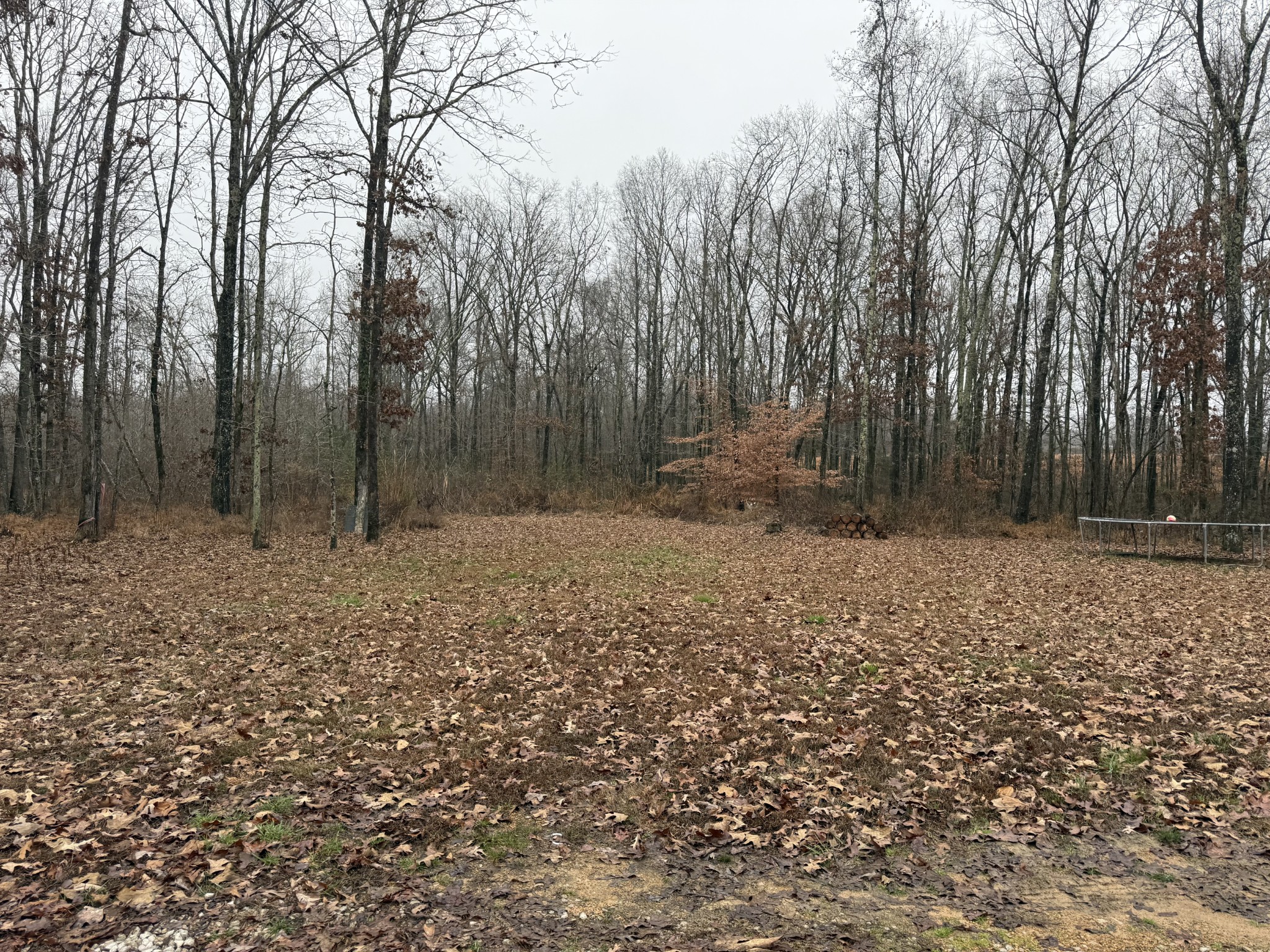 239 Henderson Road Hohenwald, TN 38462 - Photo 52 of 61 a view of outdoor space with trees