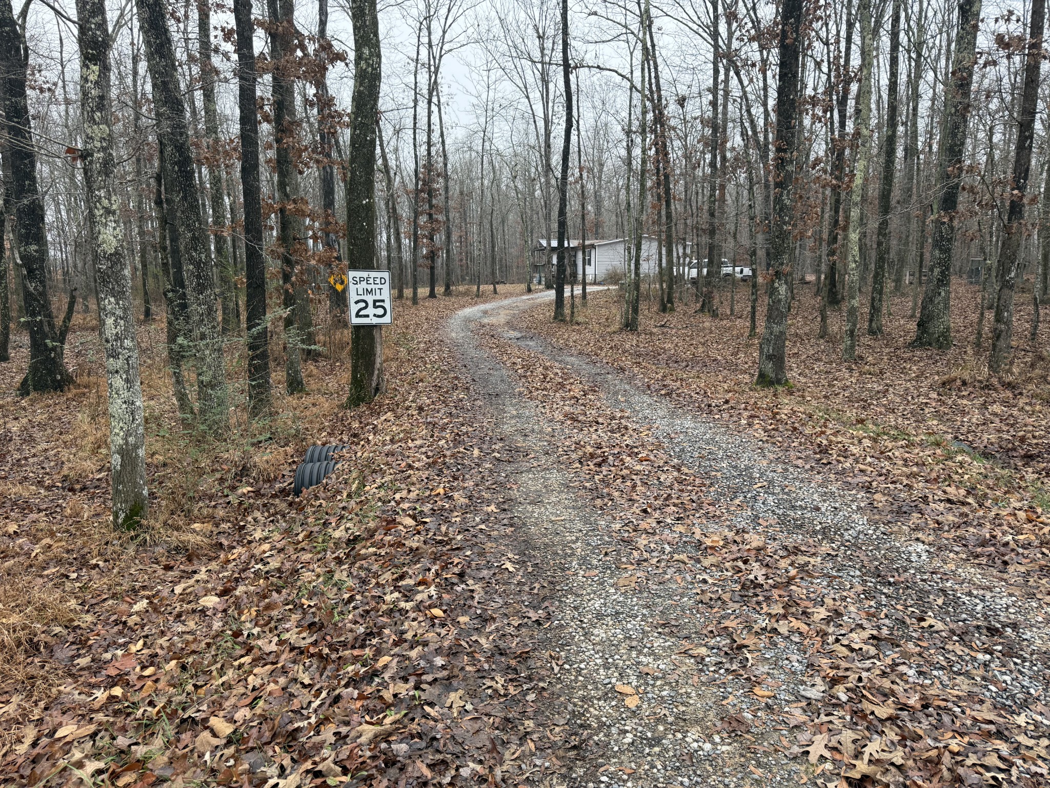 239 Henderson Road Hohenwald, TN 38462 - Photo 53 of 61 a view of outdoor space with lots of trees