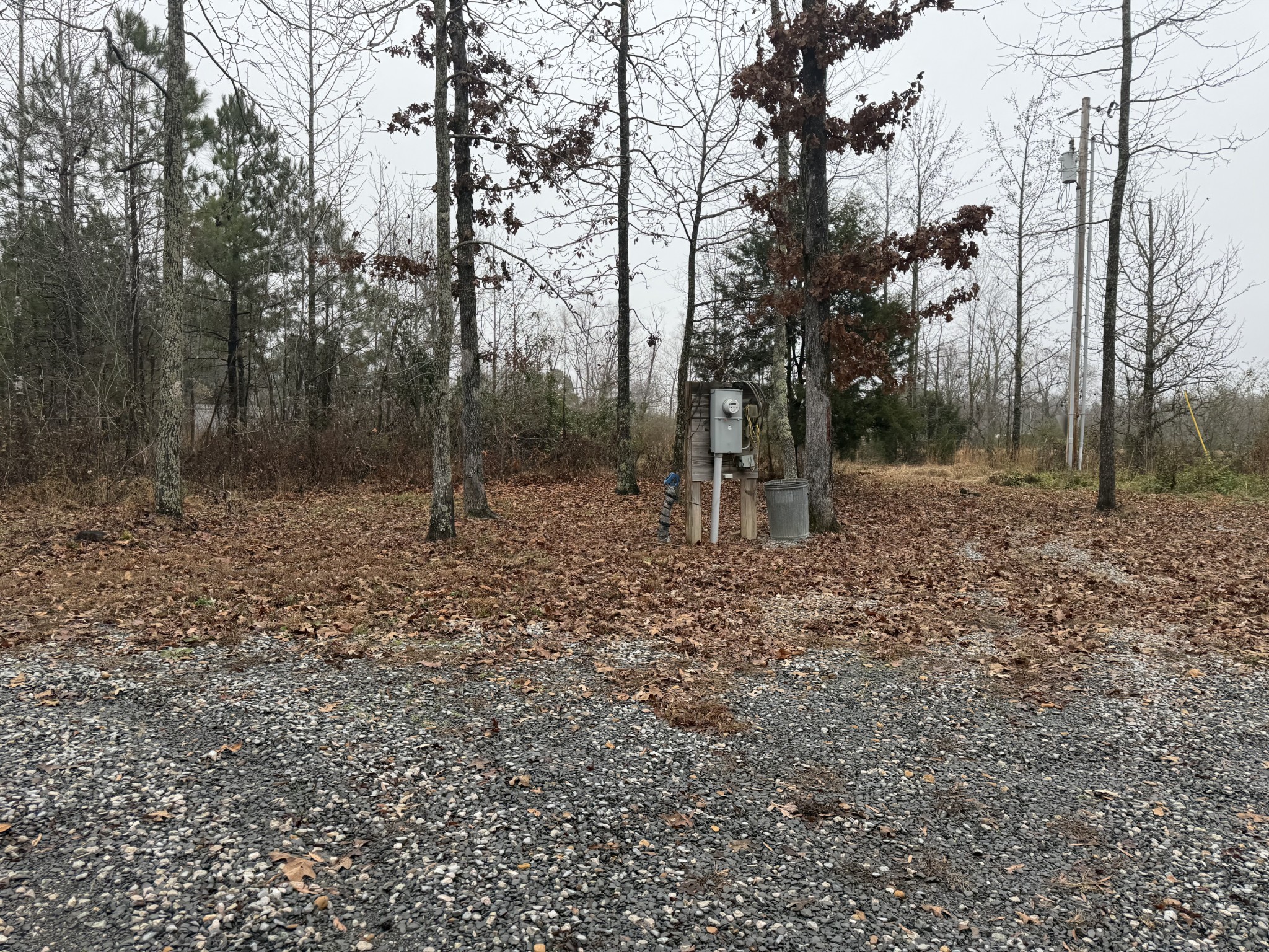 239 Henderson Road Hohenwald, TN 38462 - Photo 55 of 61 a view of outdoor space with trees