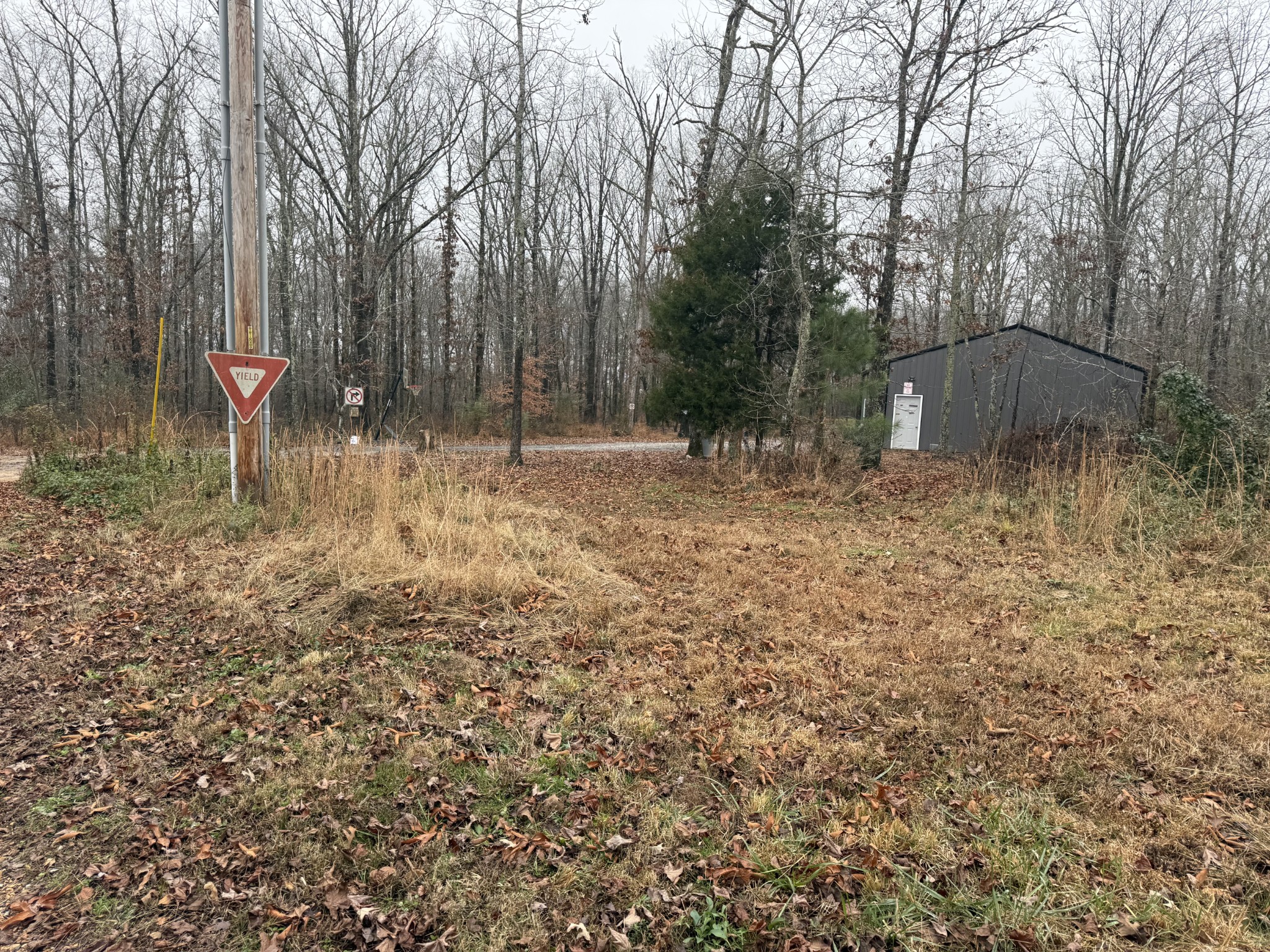 239 Henderson Road Hohenwald, TN 38462 - Photo 57 of 61 a backyard of a house with lots of green space