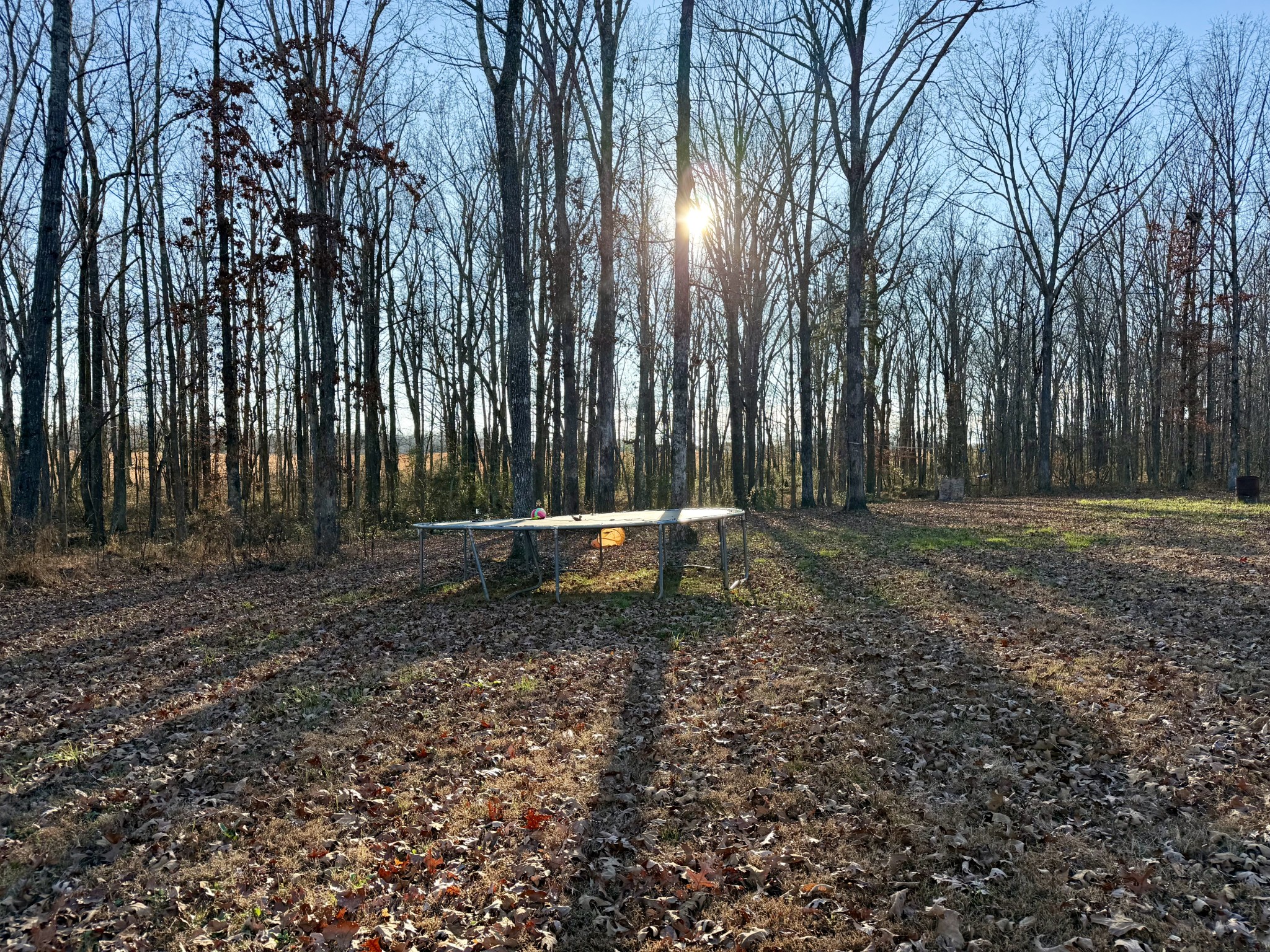 239 Henderson Road Hohenwald, TN 38462 - Photo 60 of 61 a backyard of a house with lots of green space