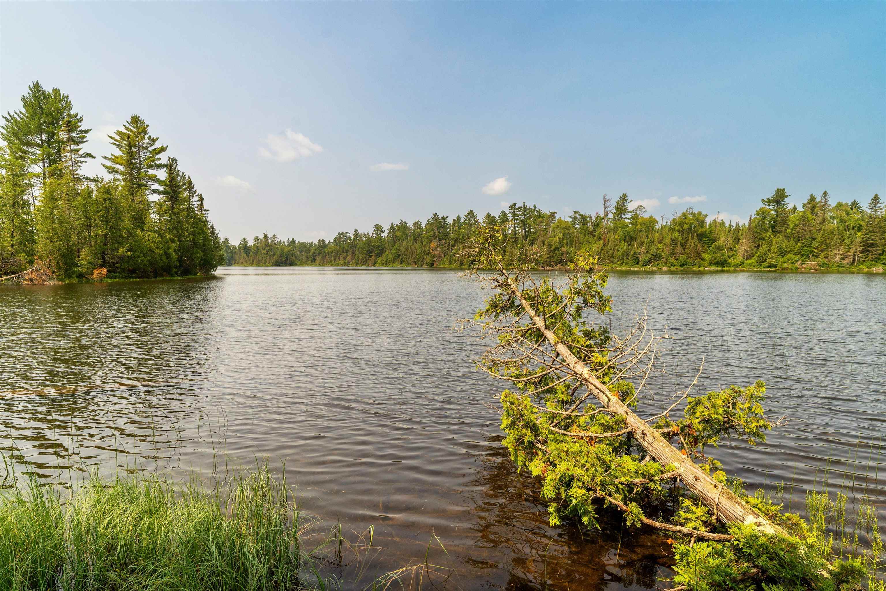 92 Erickson Trail Tofte, MN 55615 - Photo 49 of 75