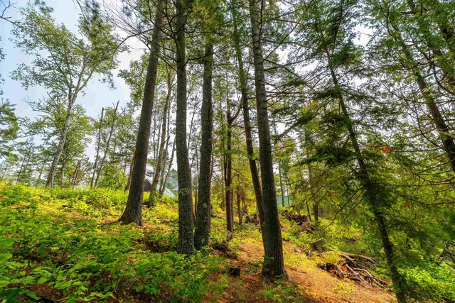 $749,900 | 92 Erickson Trail, Tofte, MN 55615