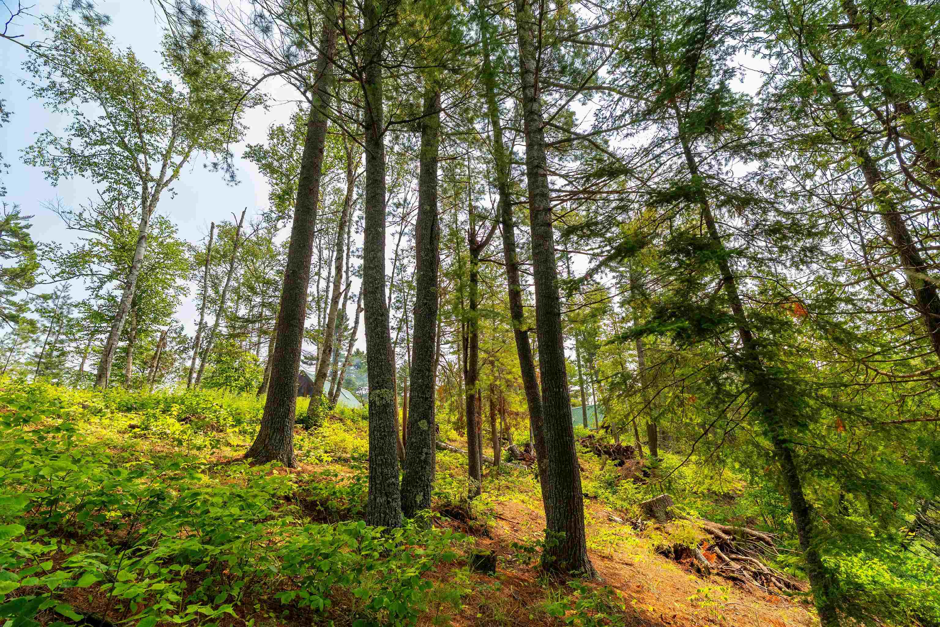 92 Erickson Trail Tofte, MN 55615 - Photo 61 of 75