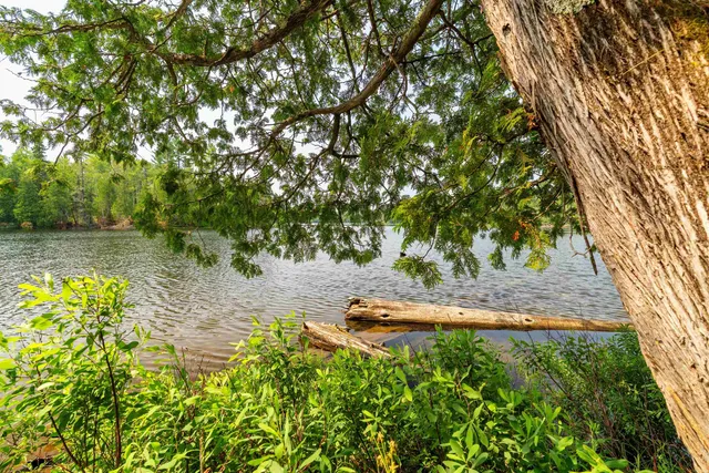 $749,900 | 92 Erickson Trail, Tofte, MN 55615