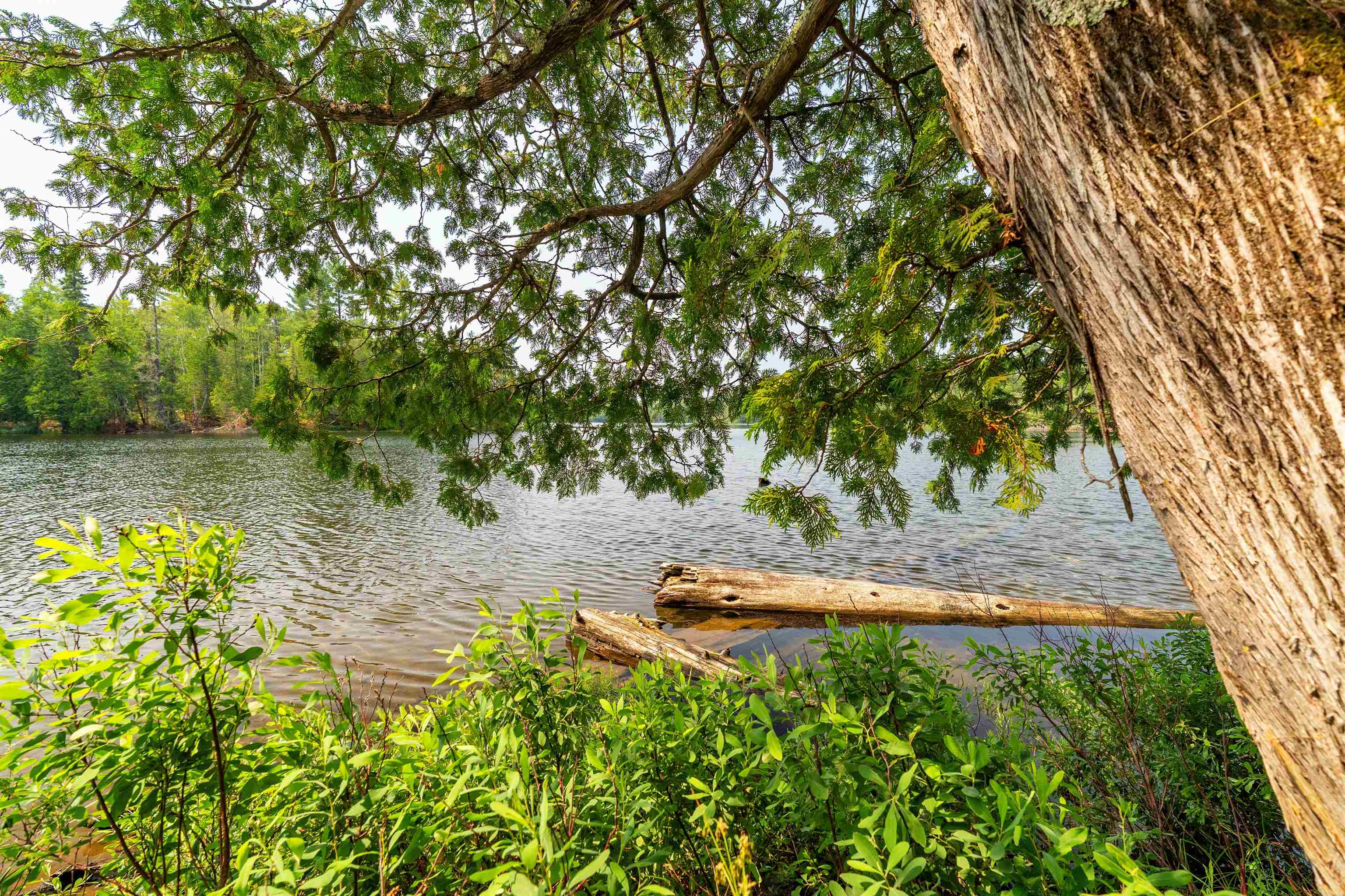 92 Erickson Trail Tofte, MN 55615 - Photo 62 of 75