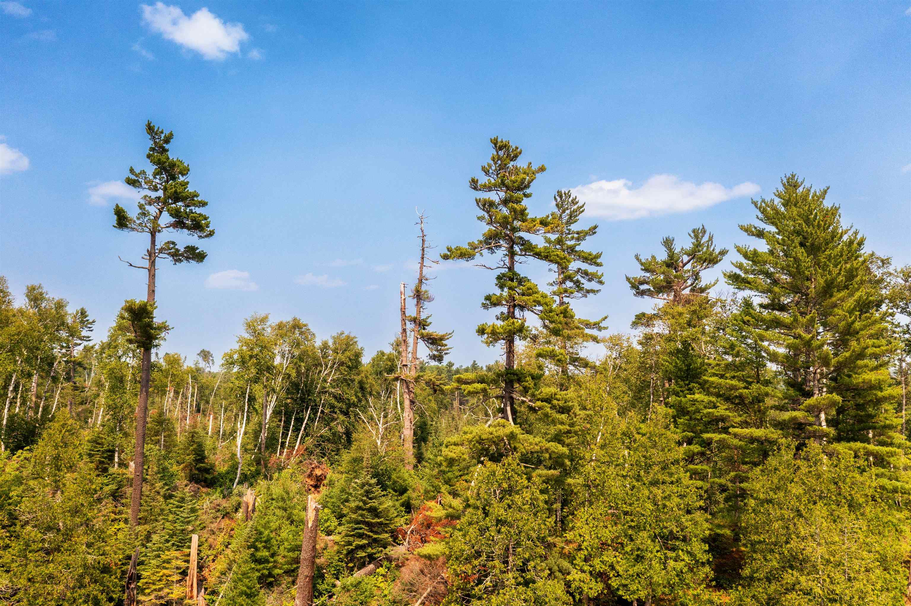 92 Erickson Trail Tofte, MN 55615 - Photo 74 of 75