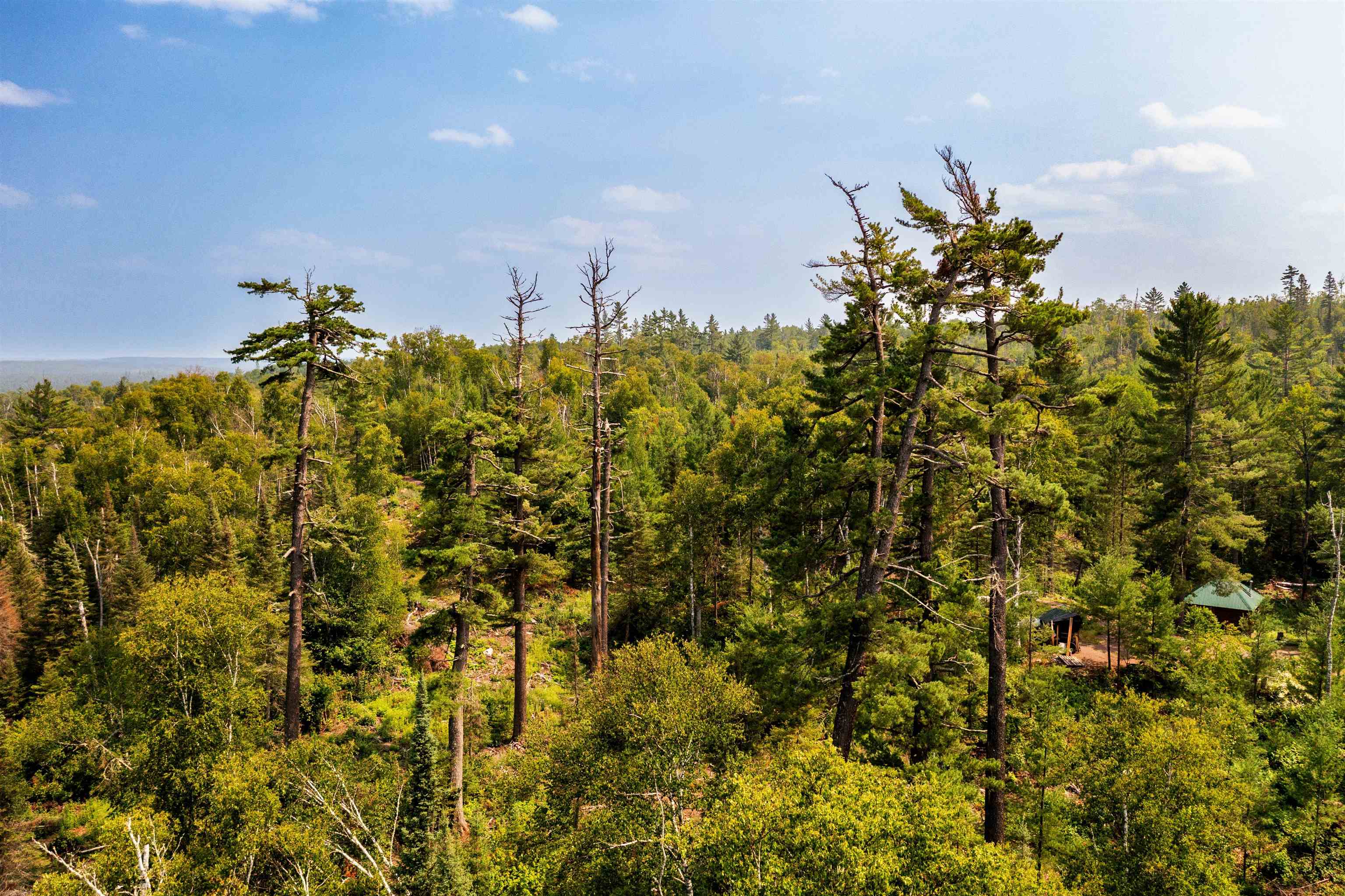 92 Erickson Trail Tofte, MN 55615 - Photo 75 of 75