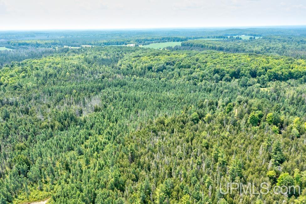 577 Rd Daggett Mi 49821 Road, Unit NONE Daggett, MI 49821 - Photo 8 of 9