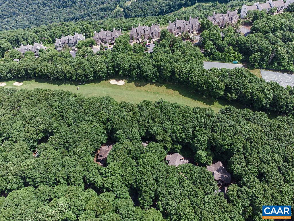 91 Bear Run Wintergreen, VA 22967 - Photo 43 of 54