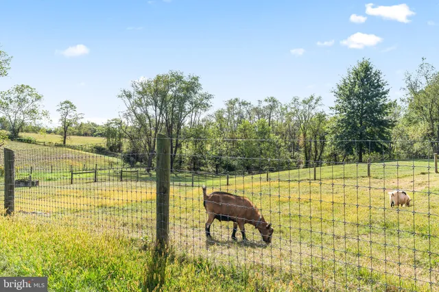 $1,100,500 | 11625 Walnut Point Road, Hagerstown, MD 21740