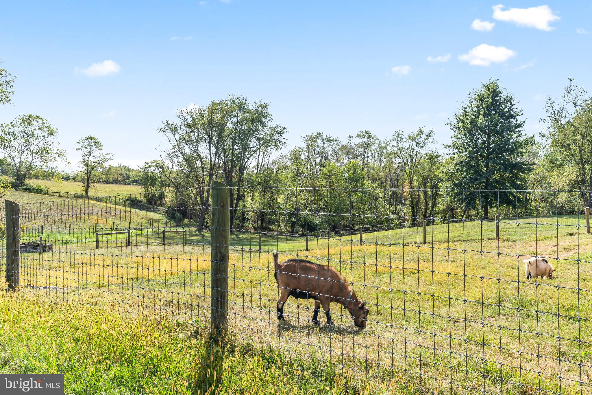 11625 Walnut Point Road Hagerstown, MD 21740 - Photo 16 of 118