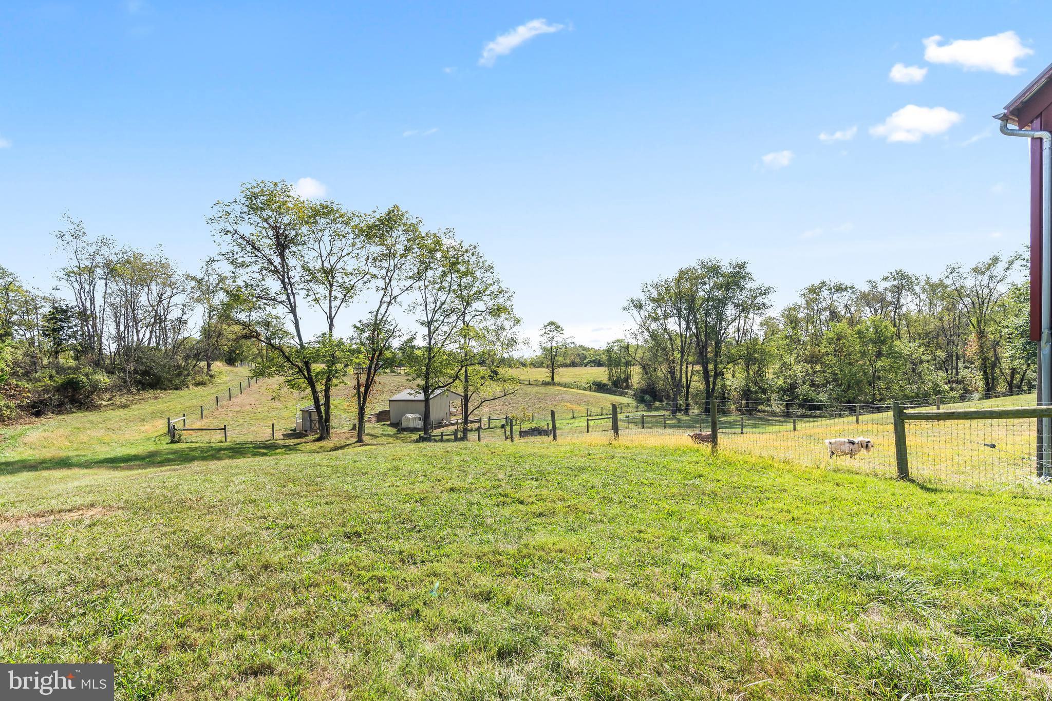 11625 Walnut Point Road Hagerstown, MD 21740 - Photo 89 of 118