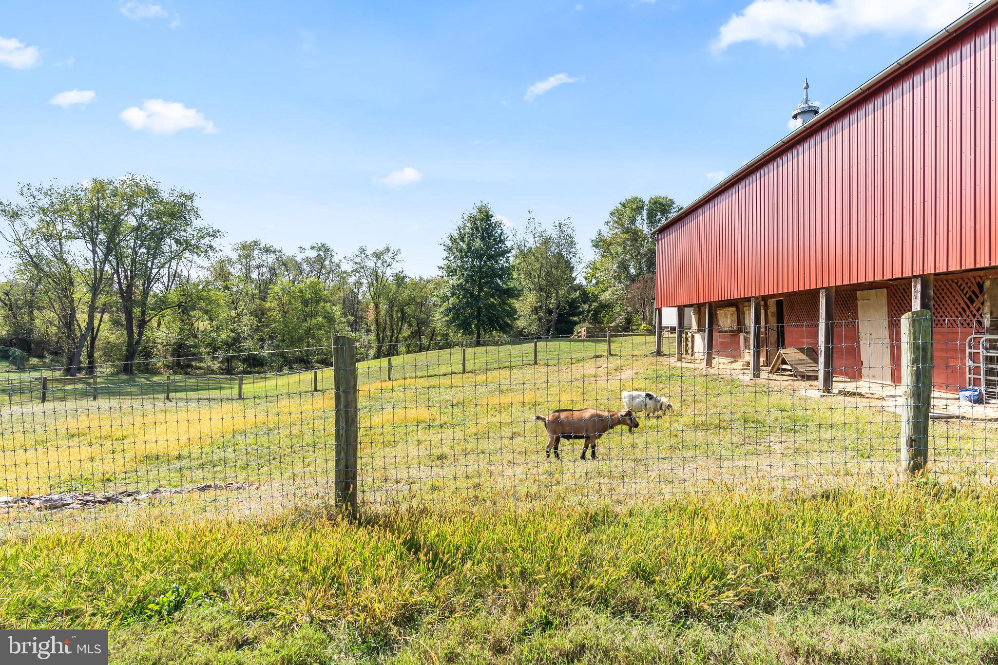 11625 Walnut Point Road Hagerstown, MD 21740 - Photo 90 of 118