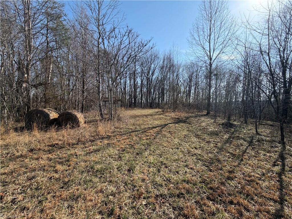 1442 Flippin Road Westfield, NC 27053 - Photo 11 of 12