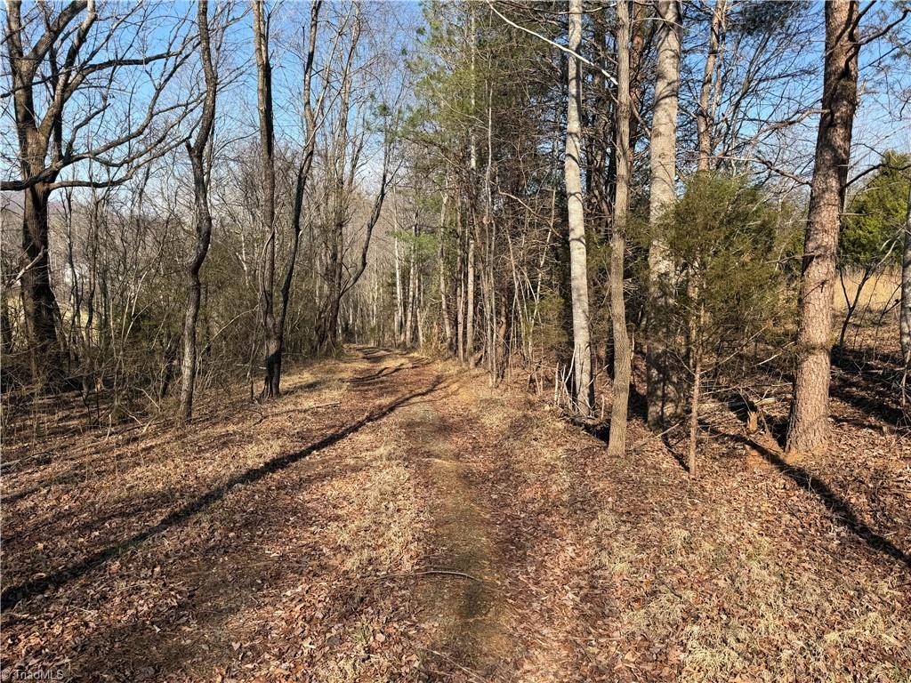 1442 Flippin Road Westfield, NC 27053 - Photo 12 of 12