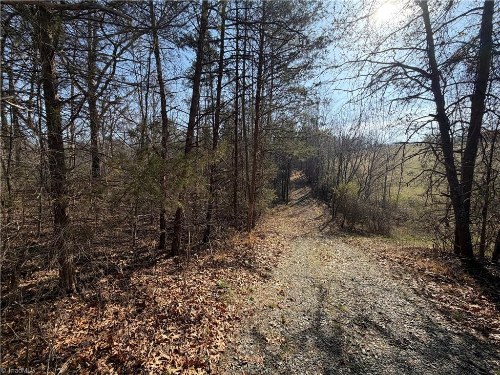 1442 Flippin Road Westfield, NC 27053 - Photo 3 of 12