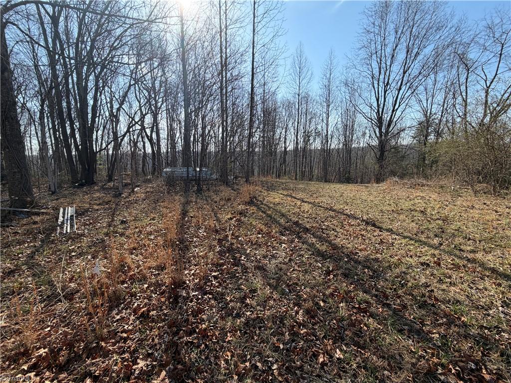 1442 Flippin Road Westfield, NC 27053 - Photo 5 of 12